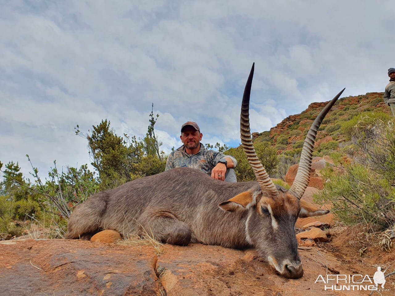 Waterbuck Hunt Eastern Cape South Africa