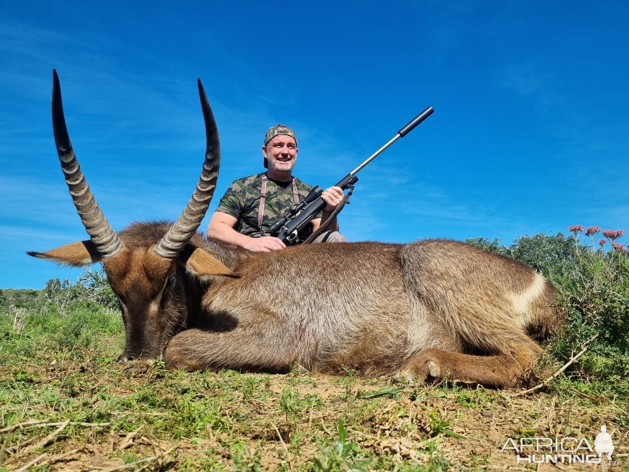 Waterbuck Hunt Eastern Cape South Africa