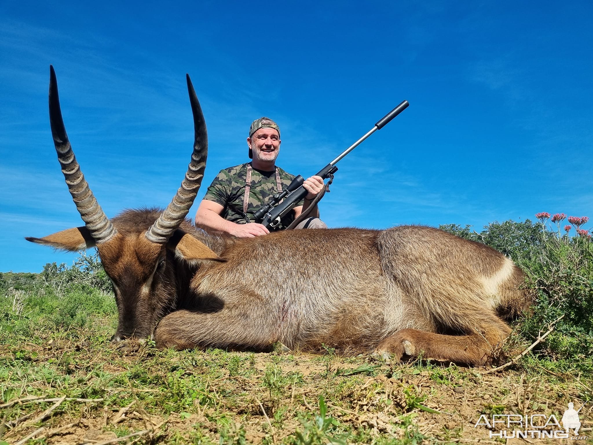 Waterbuck Hunt Eastern Cape South Africa