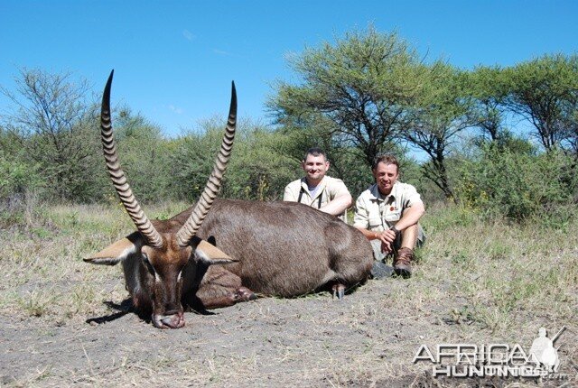 Waterbuck hunt in Limpopo RSA - 29 5/8 inches