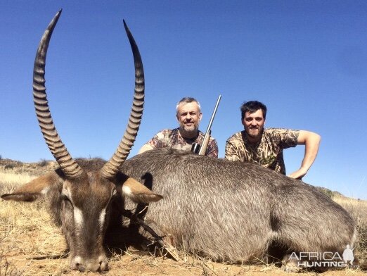 Waterbuck Hunt in South Africa