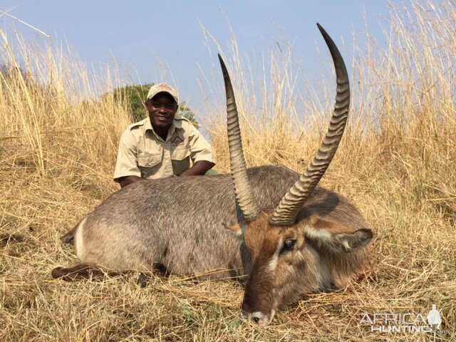 Waterbuck Hunt in Zimbabwe