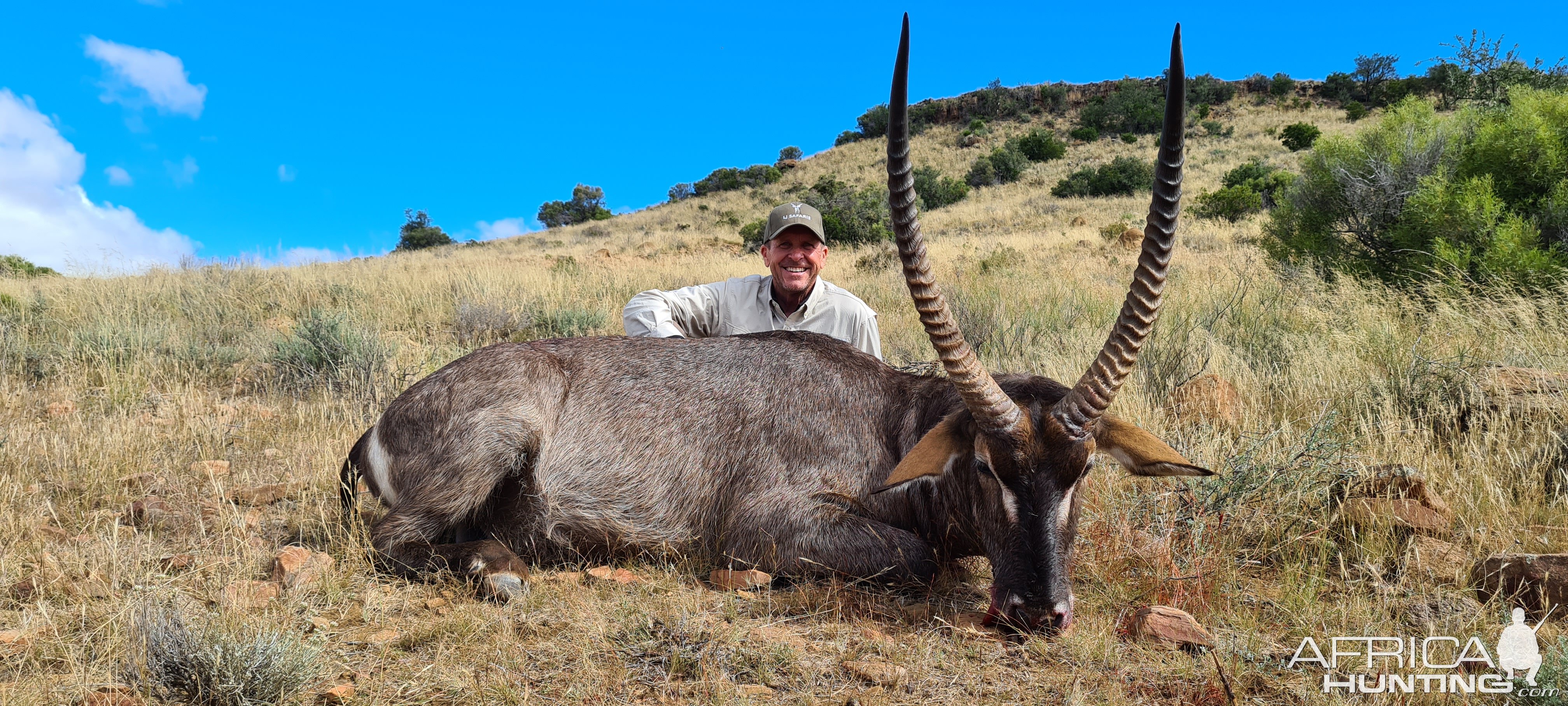 Waterbuck Hunt Karoo South Africa