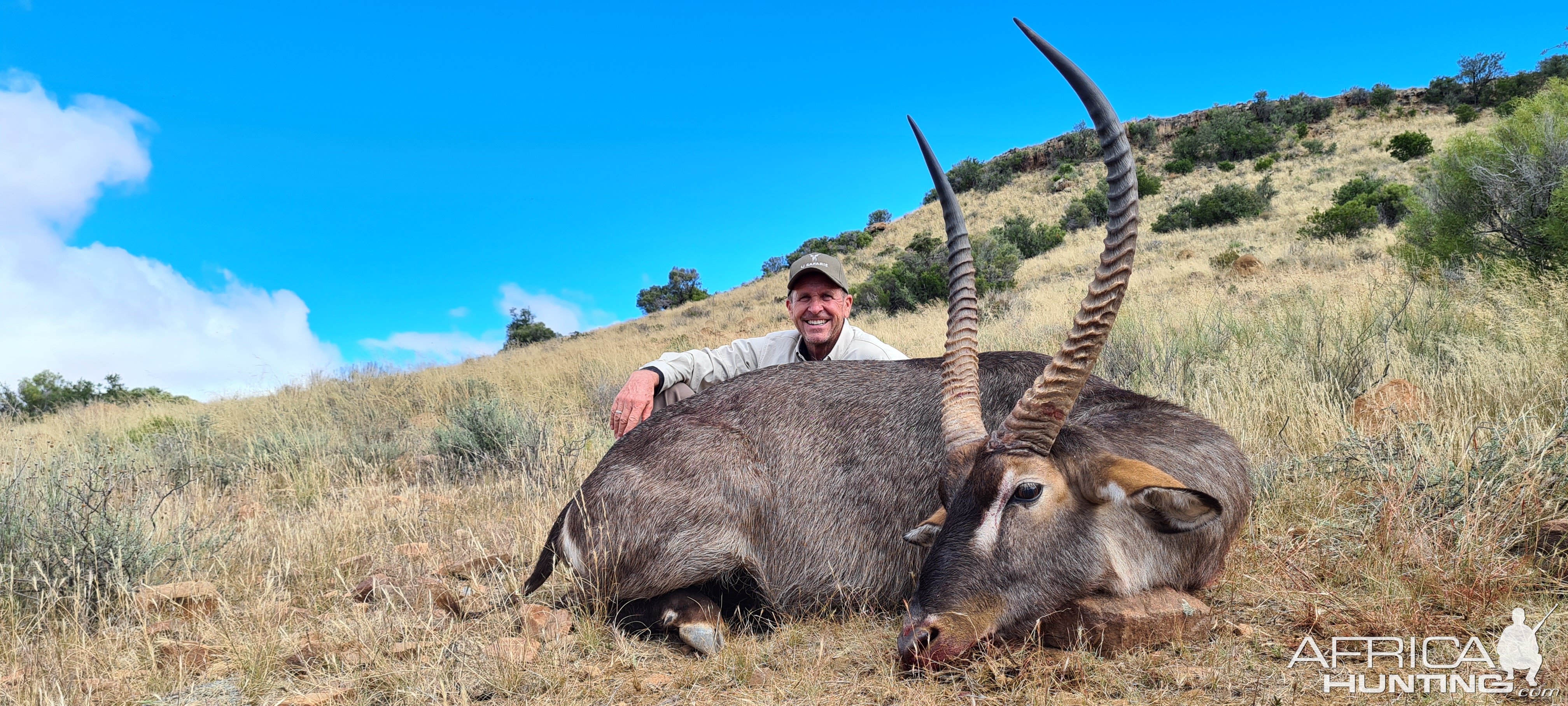 Waterbuck Hunt Karoo South Africa