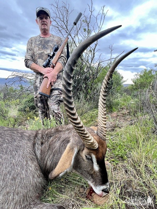 Waterbuck Hunt Karoo South Africa