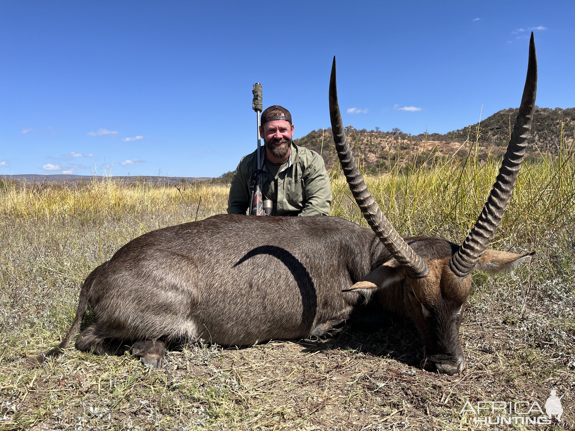 Waterbuck Hunt Limpopo South Africa