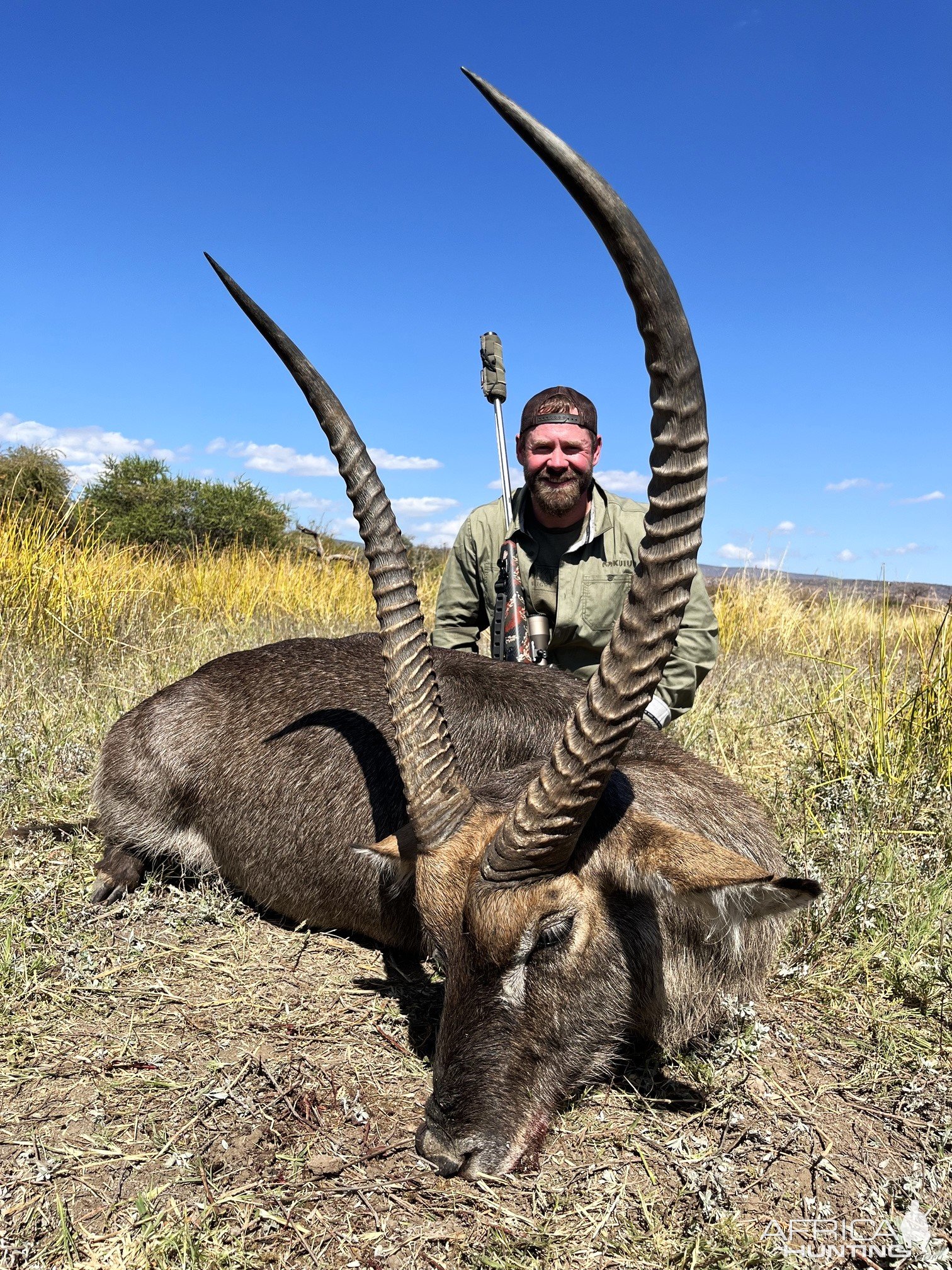 Waterbuck Hunt Limpopo South Africa