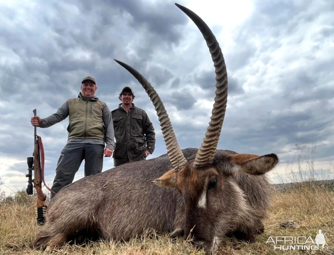 Waterbuck Hunt Limpopo South Africa