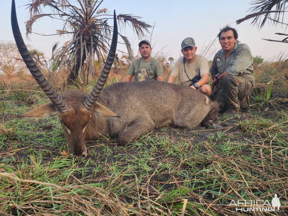 Waterbuck Hunt Mozambique