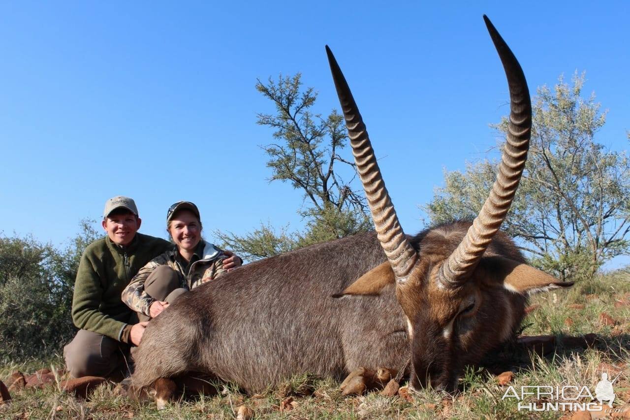 Waterbuck Hunt South Africa