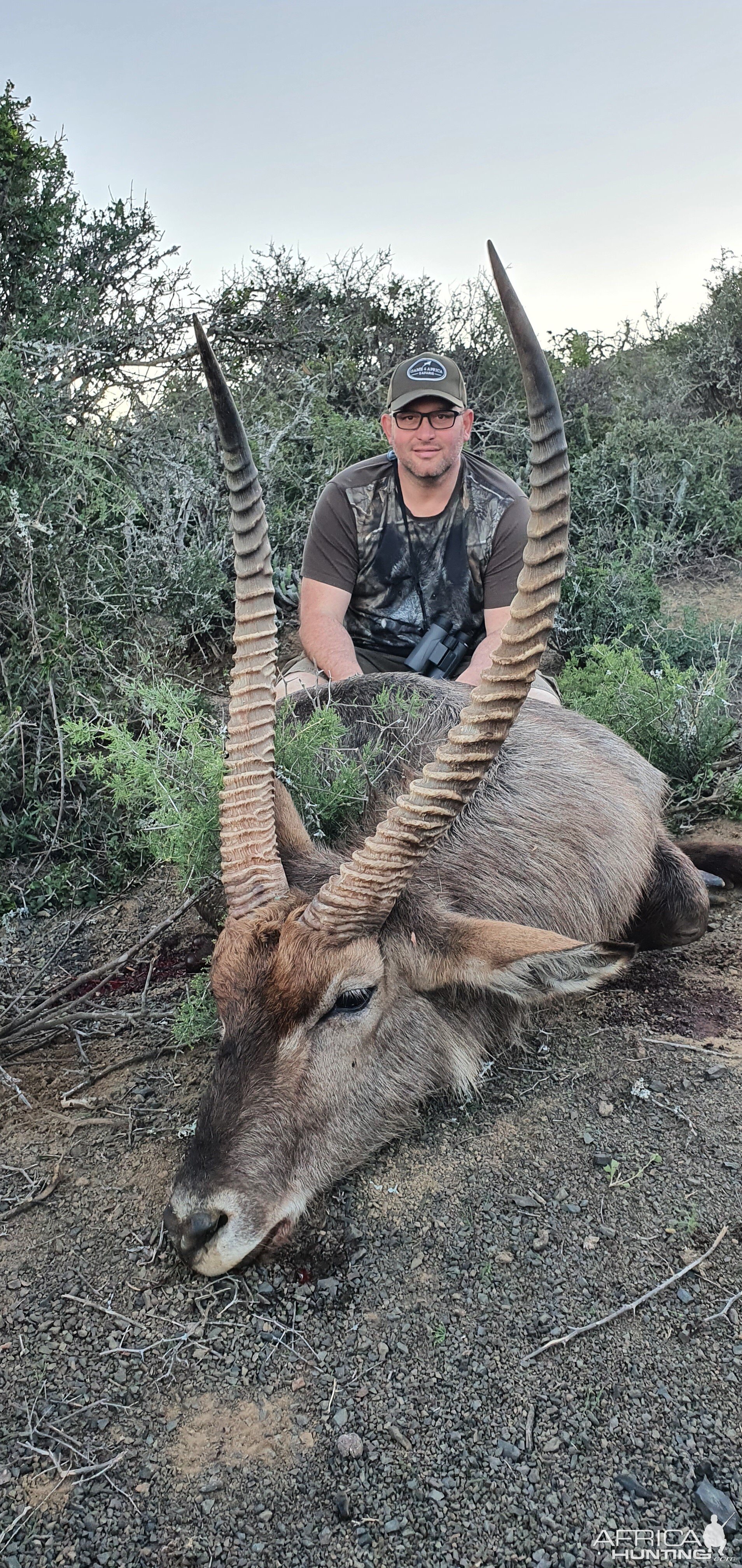 Waterbuck Hunt South Africa