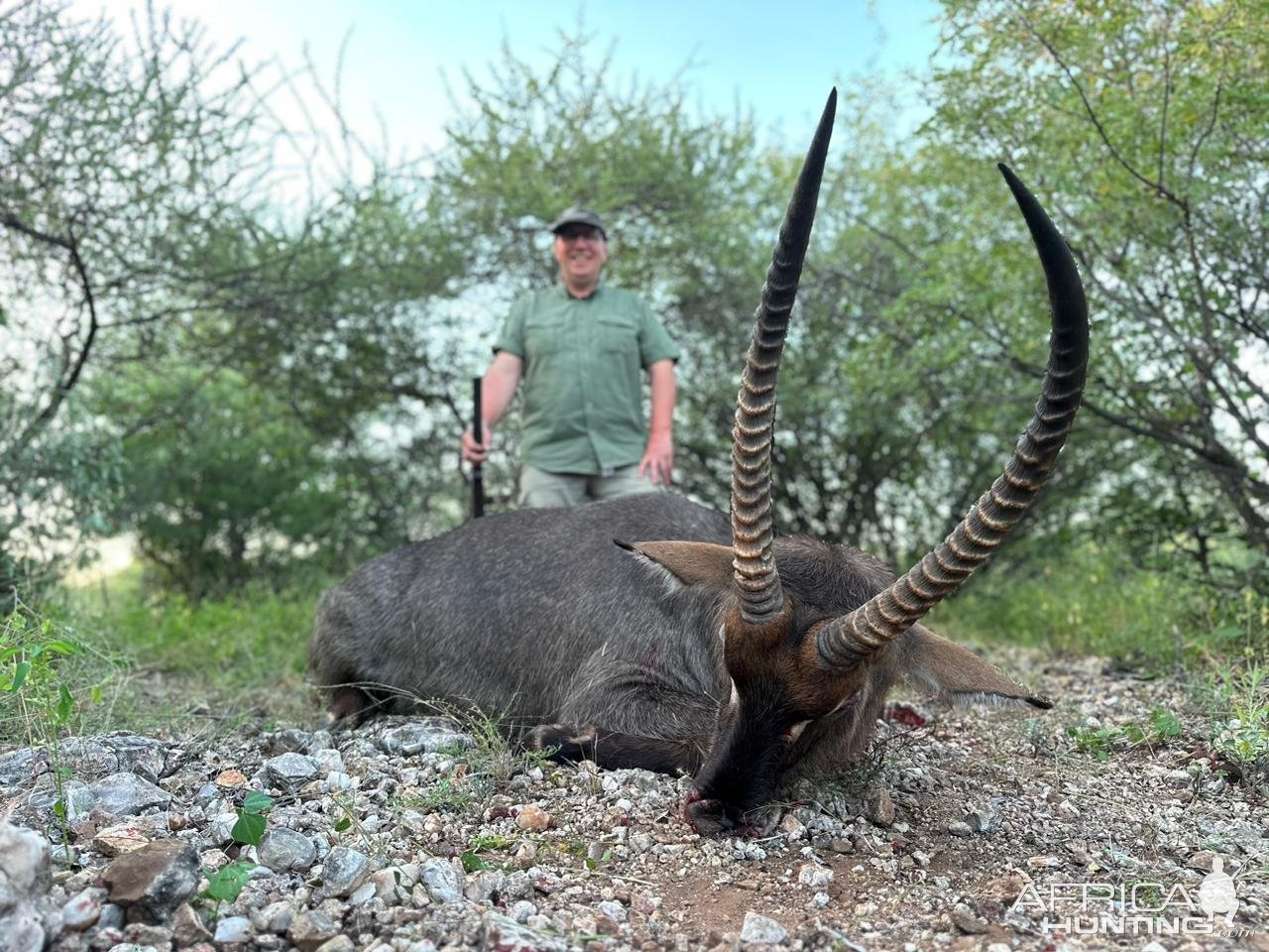 Waterbuck Hunt South Africa