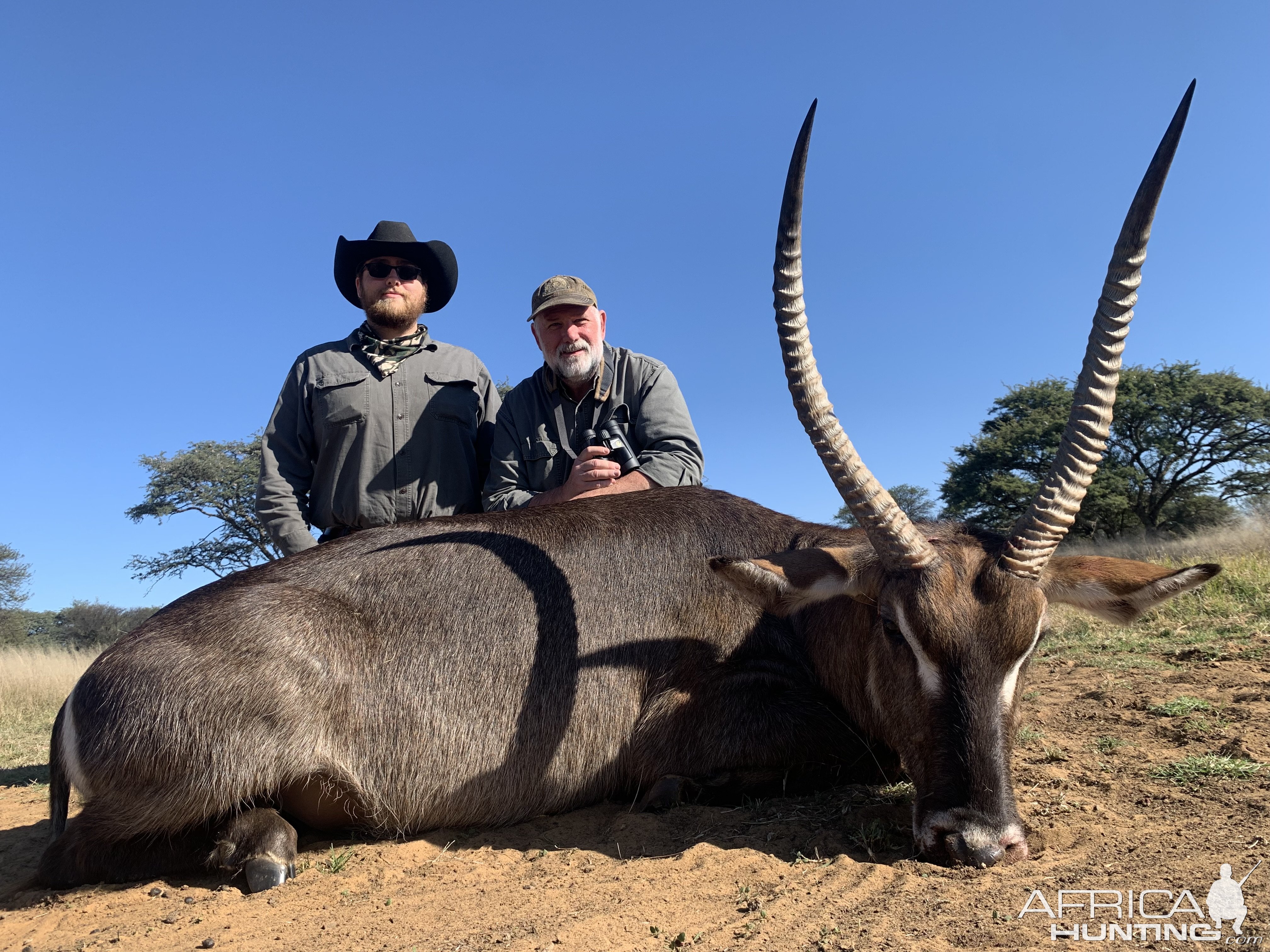 Waterbuck Hunt South Africa