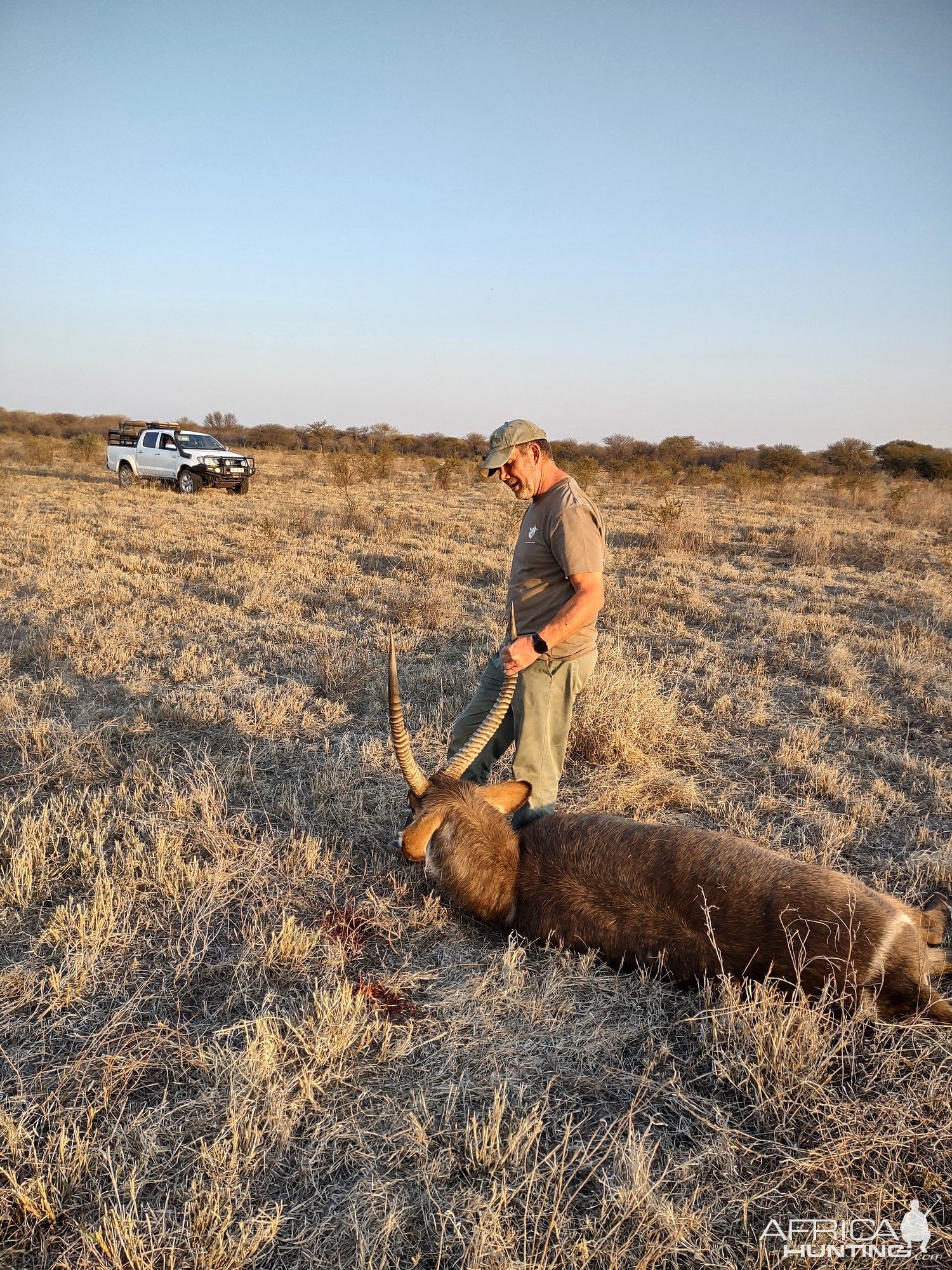 Waterbuck Hunt South Africa