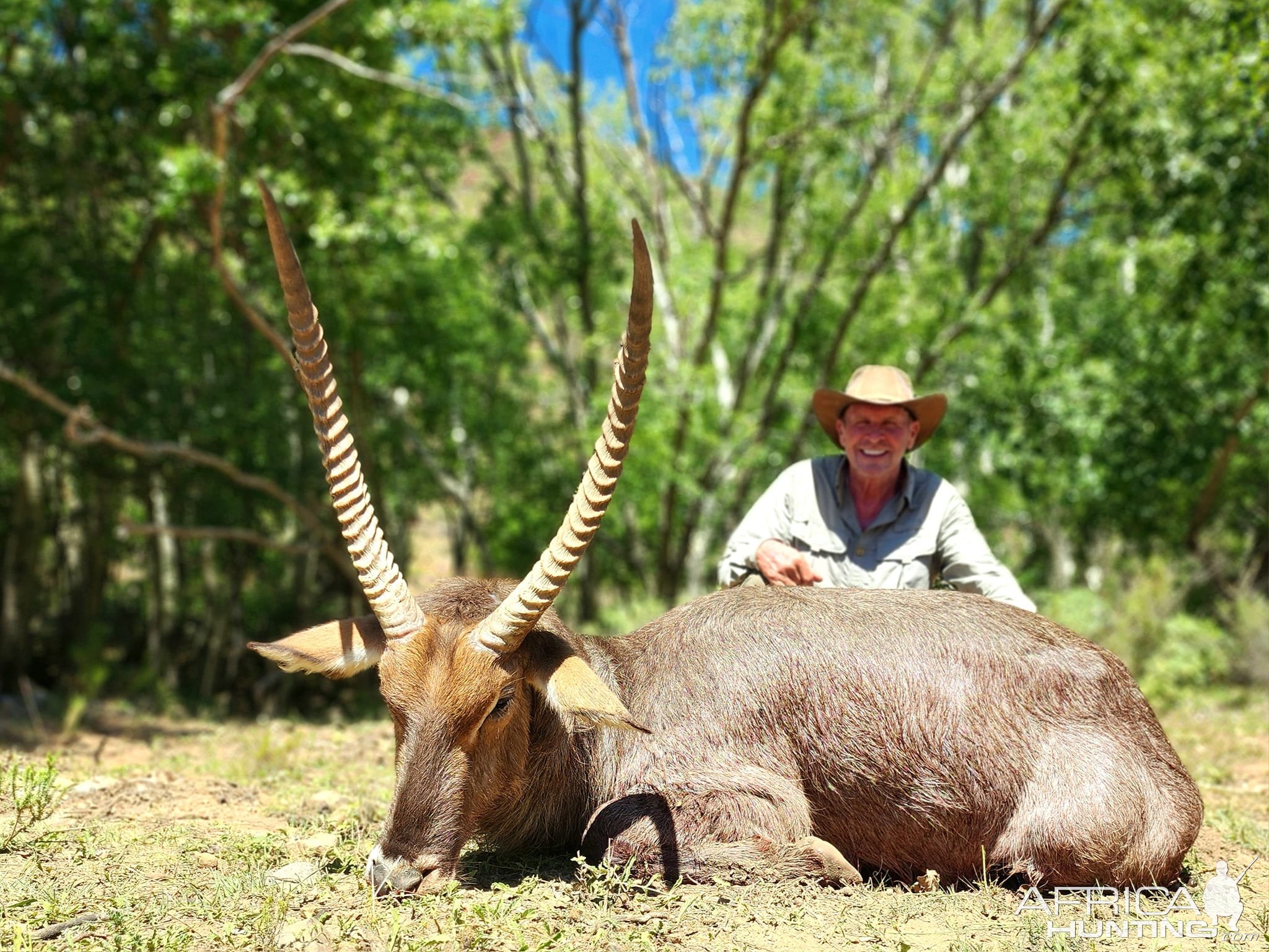 Waterbuck Hunt South Africa