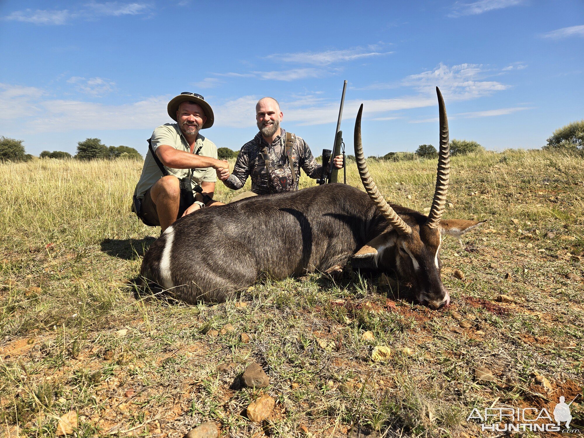 Waterbuck Hunt South Africa