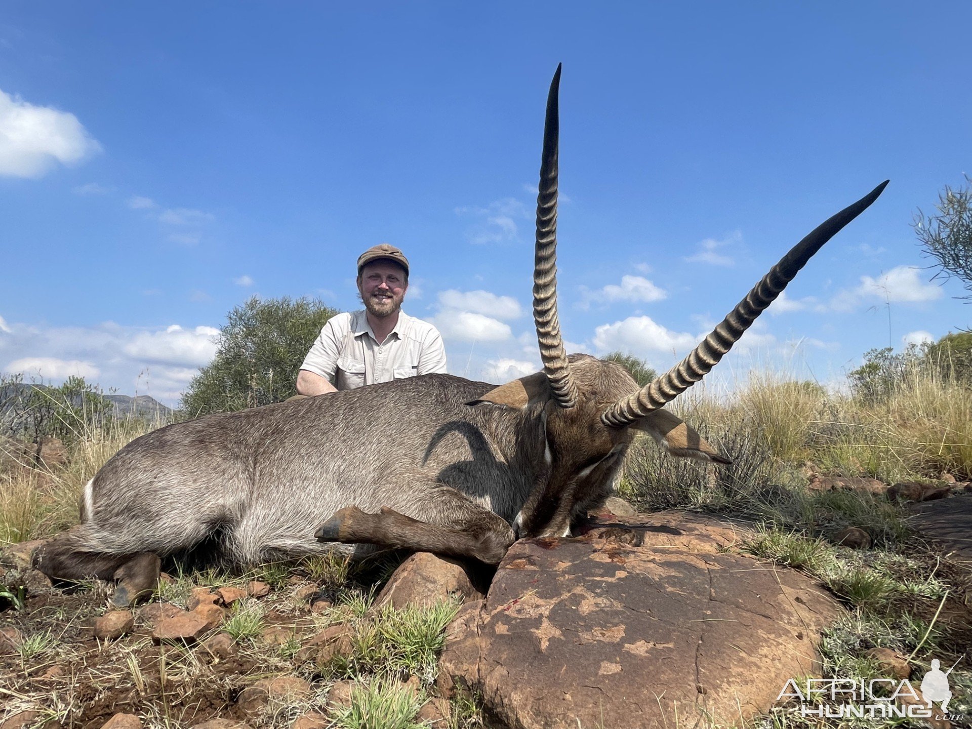 Waterbuck Hunt South Africa