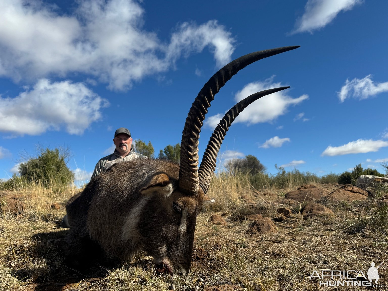 Waterbuck Hunt South Africa