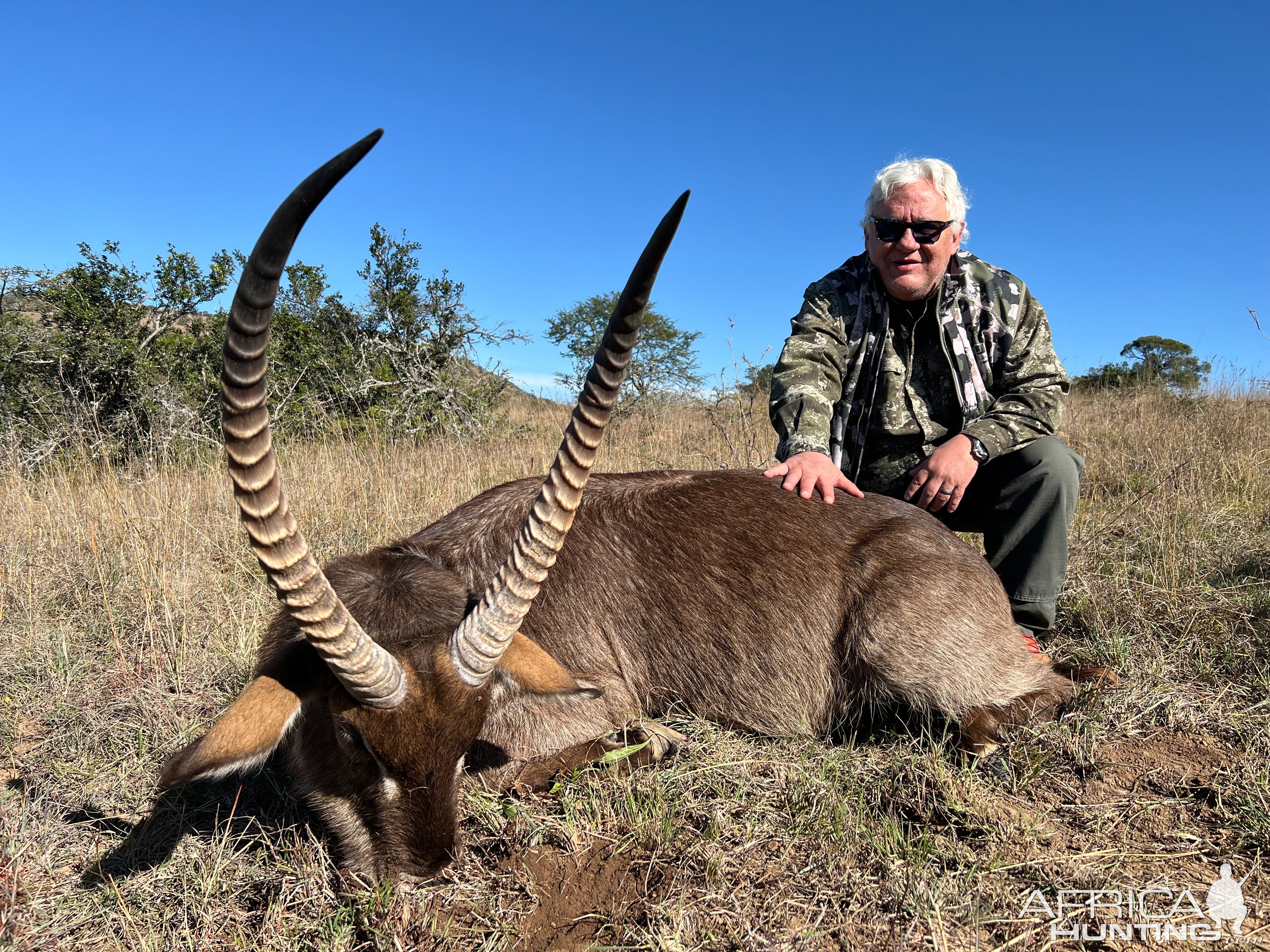 Waterbuck Hunt South Africa