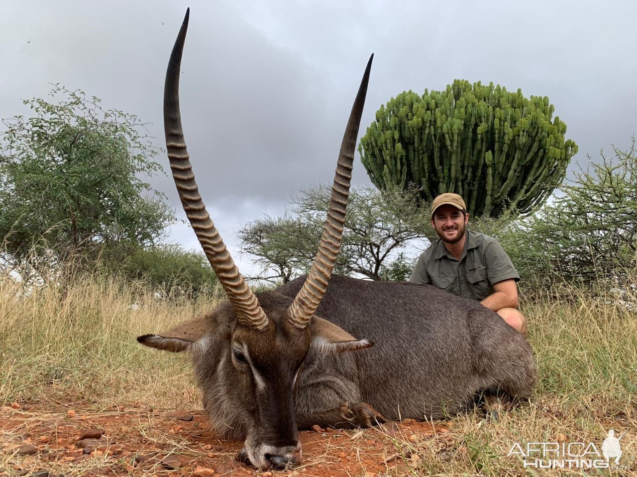 Waterbuck Hunt South Africa