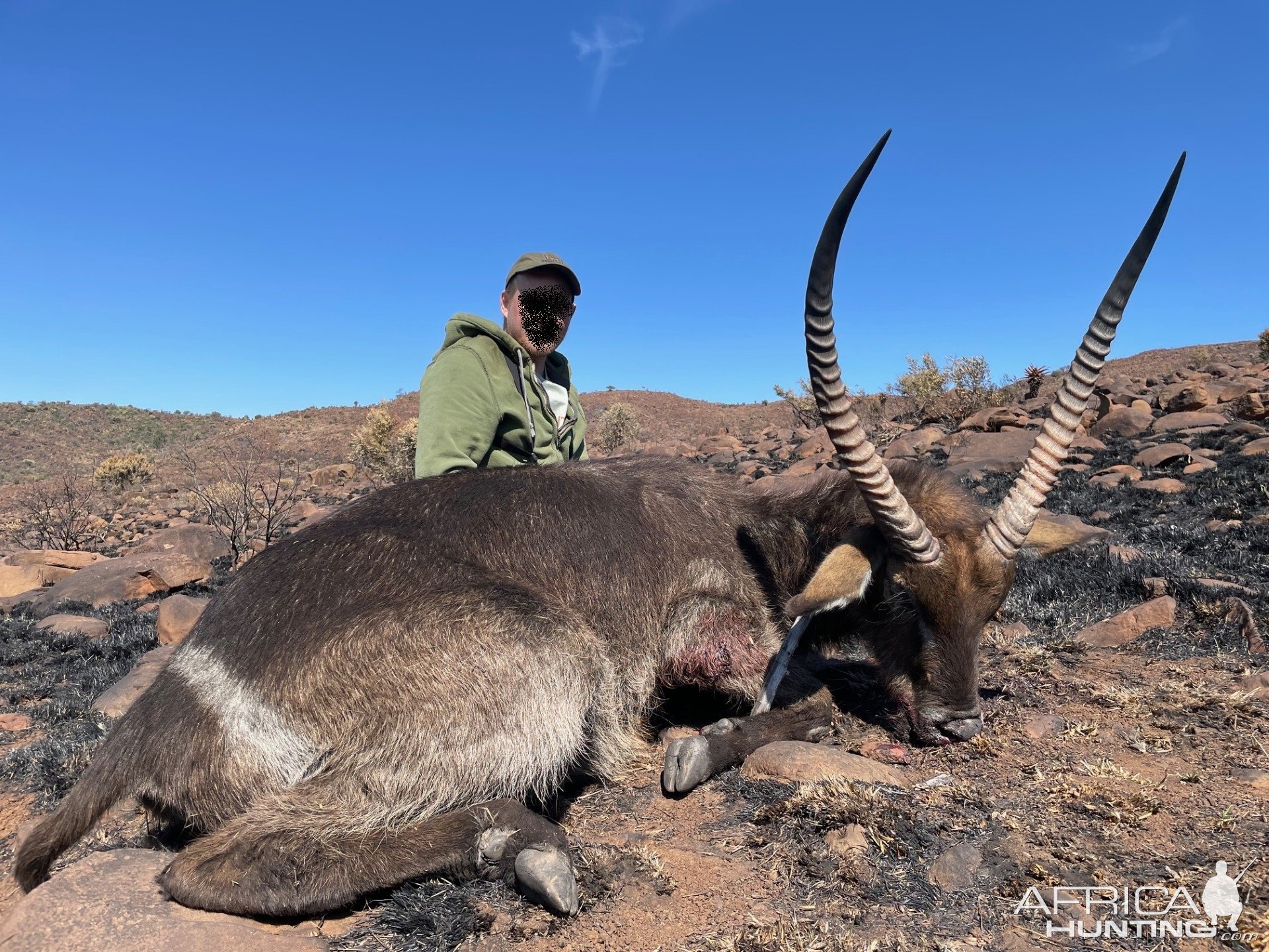 Waterbuck Hunt South Africa