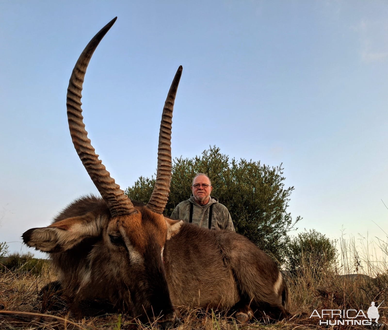 Waterbuck Hunt South Africa