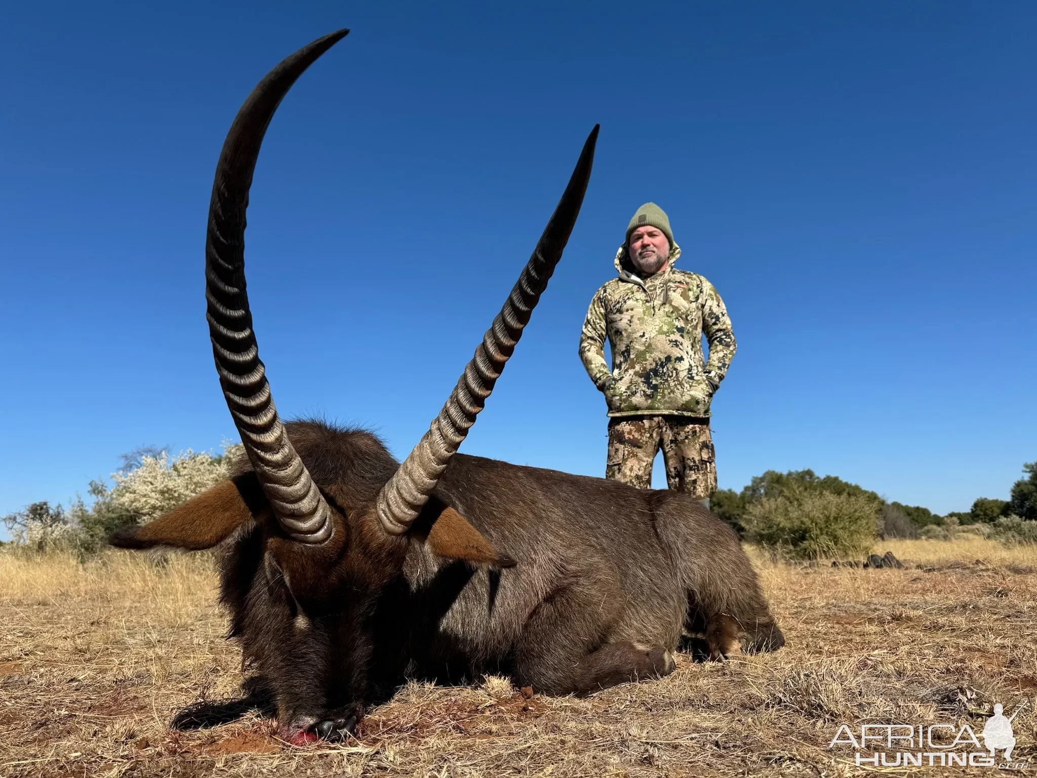 Waterbuck Hunt South Africa