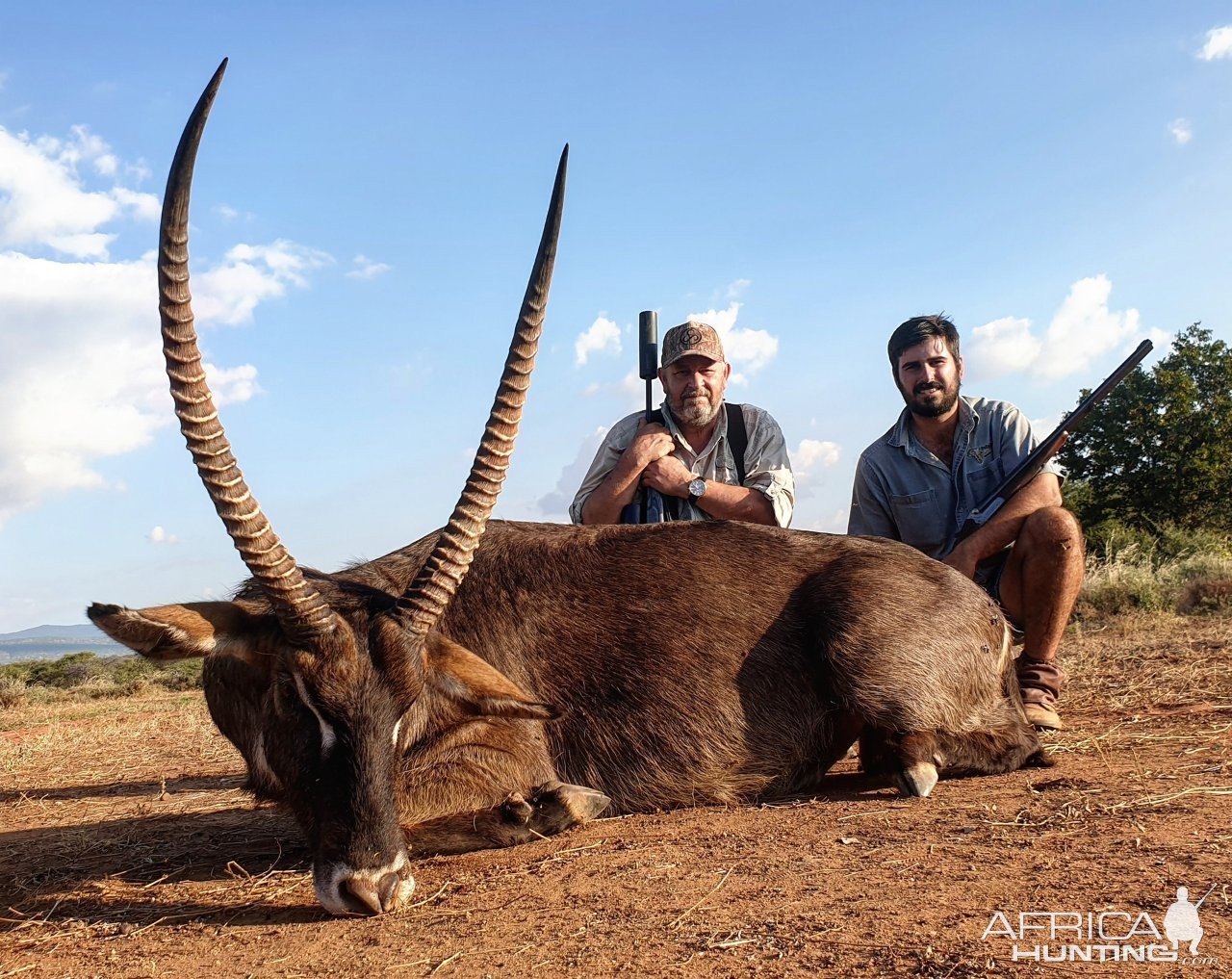 Waterbuck Hunt South Africa