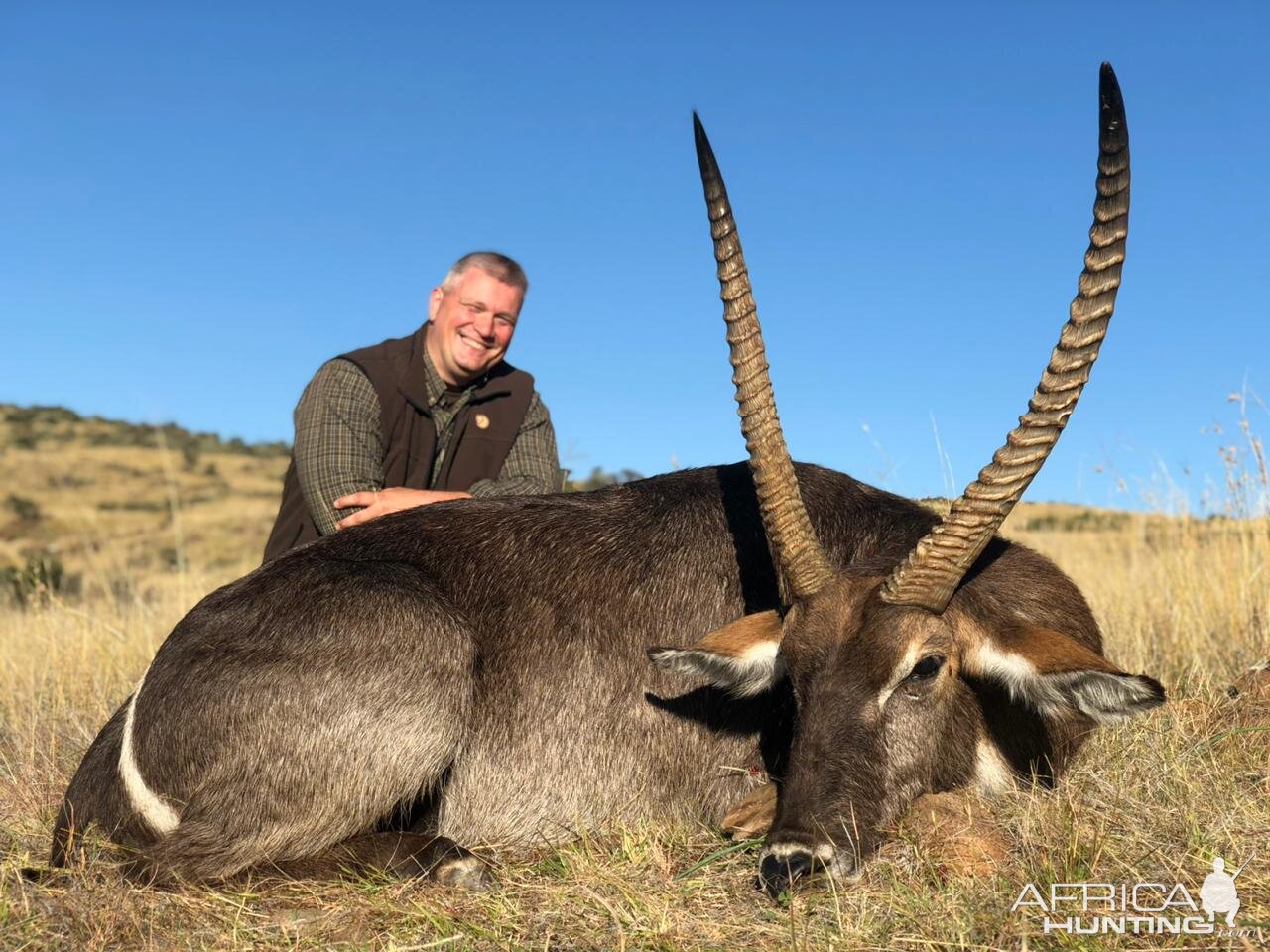 Waterbuck Hunt South Africa