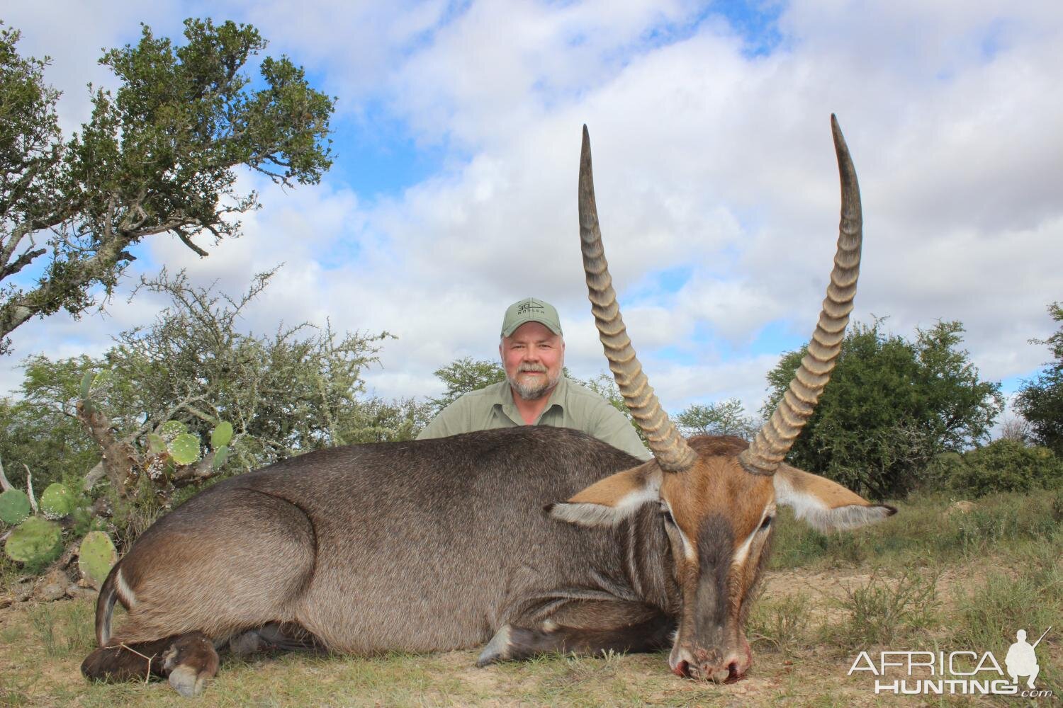 Waterbuck Hunt South Africa