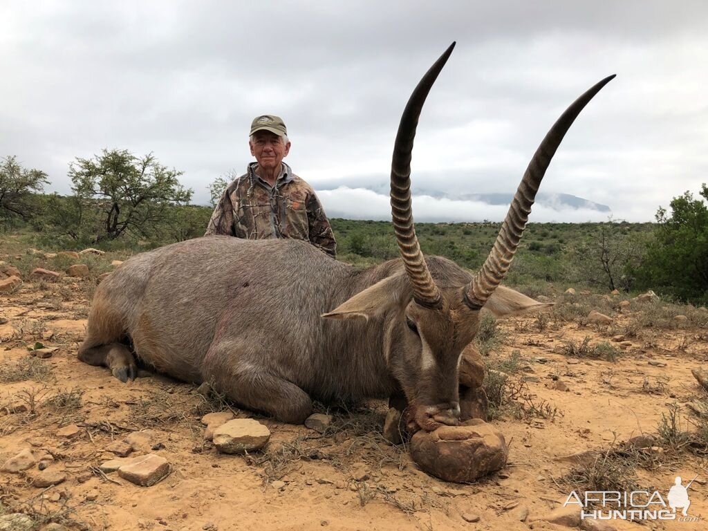 Waterbuck Hunt South Africa