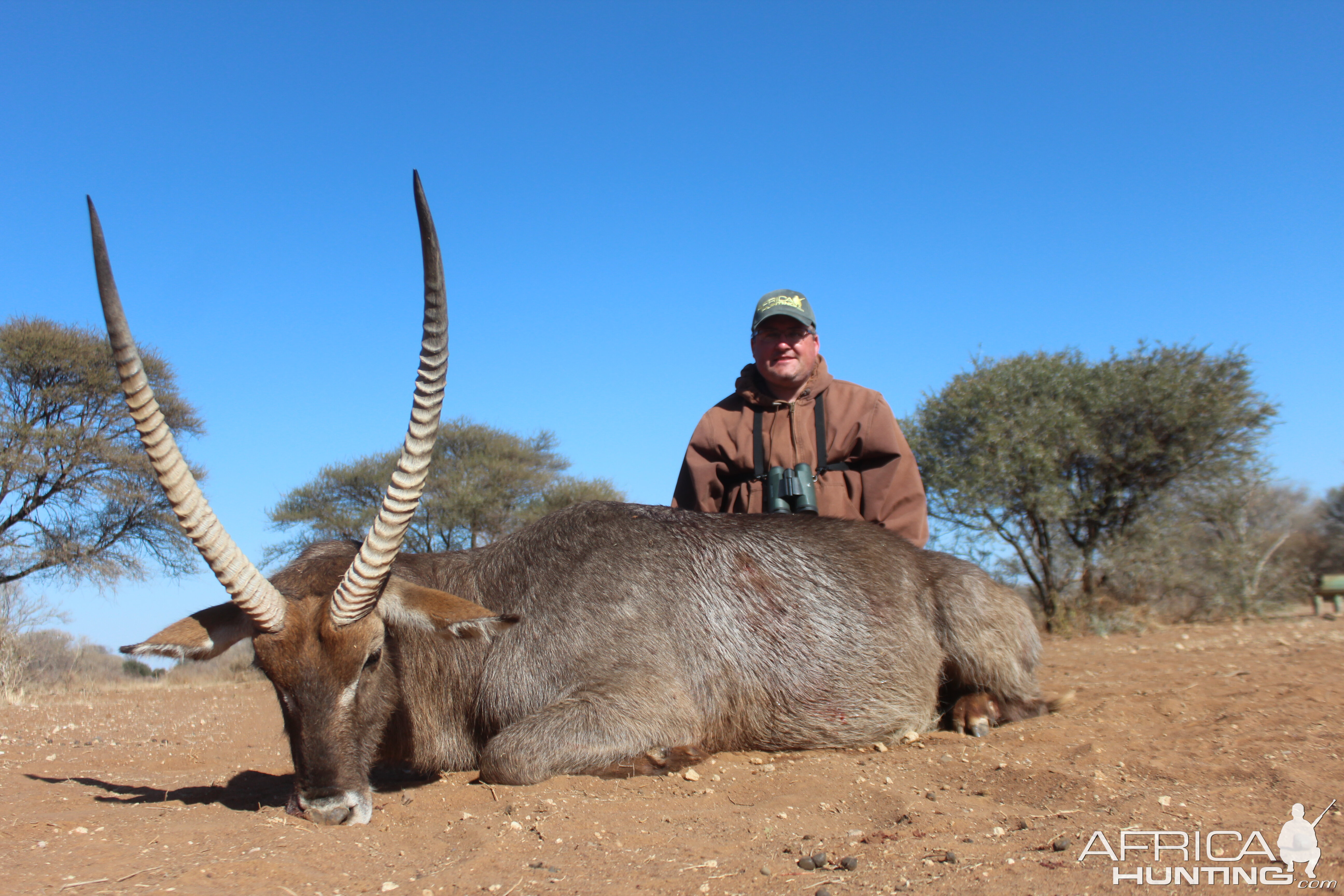 Waterbuck Hunt South Africa