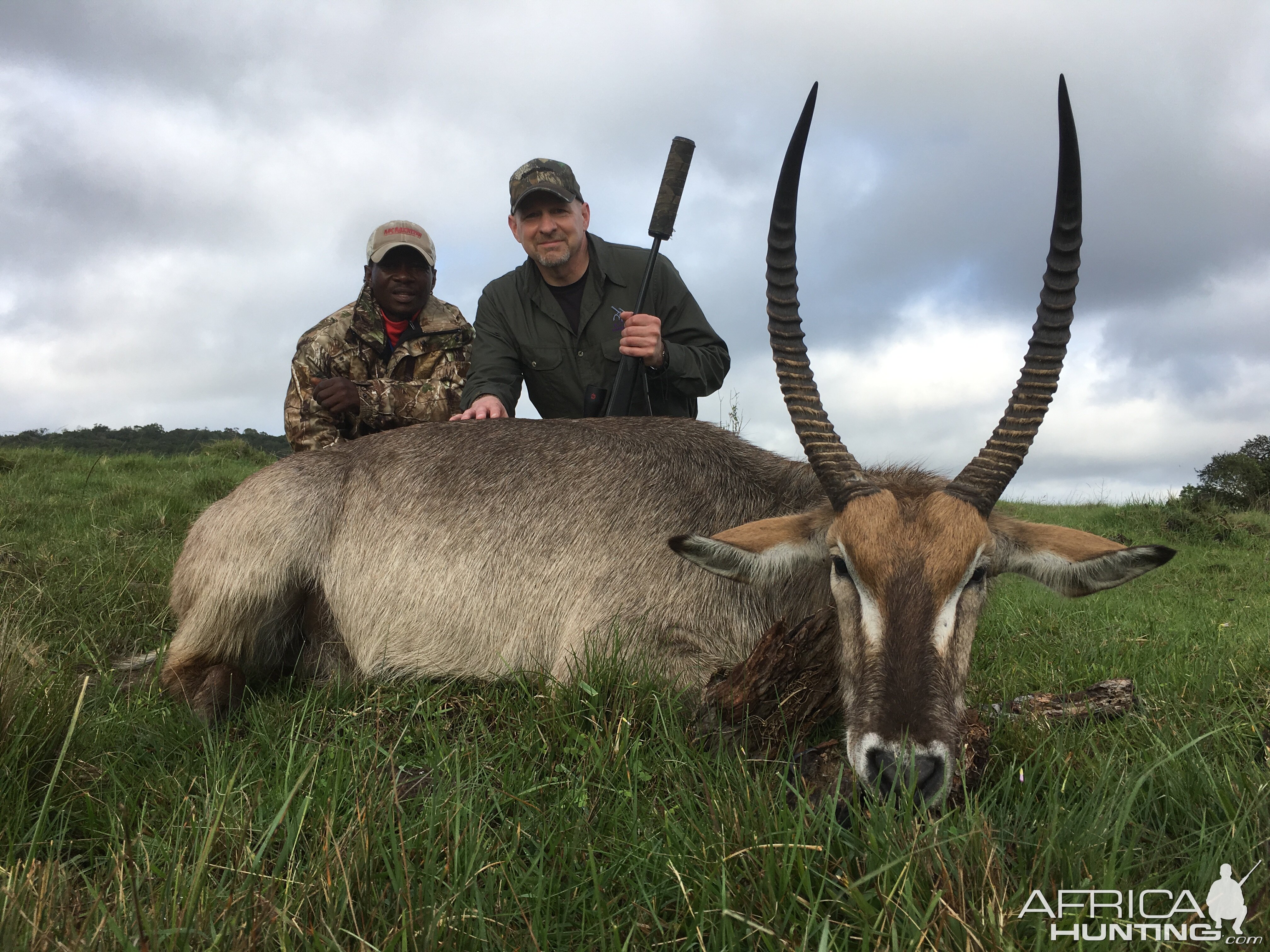 Waterbuck Hunt South Africa