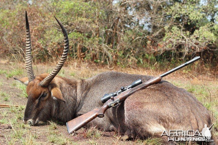 Waterbuck hunt with CAWA in CAR