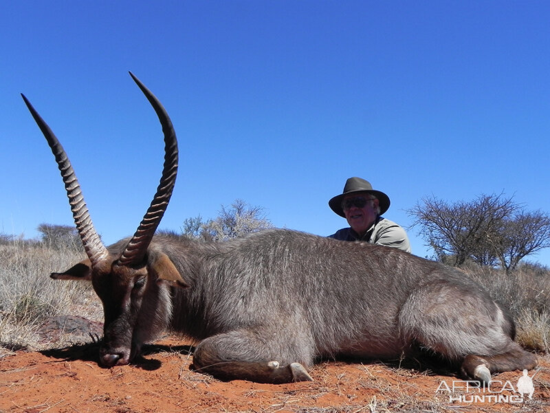 Waterbuck hunt with Wintershoek Johnny Vivier Safaris