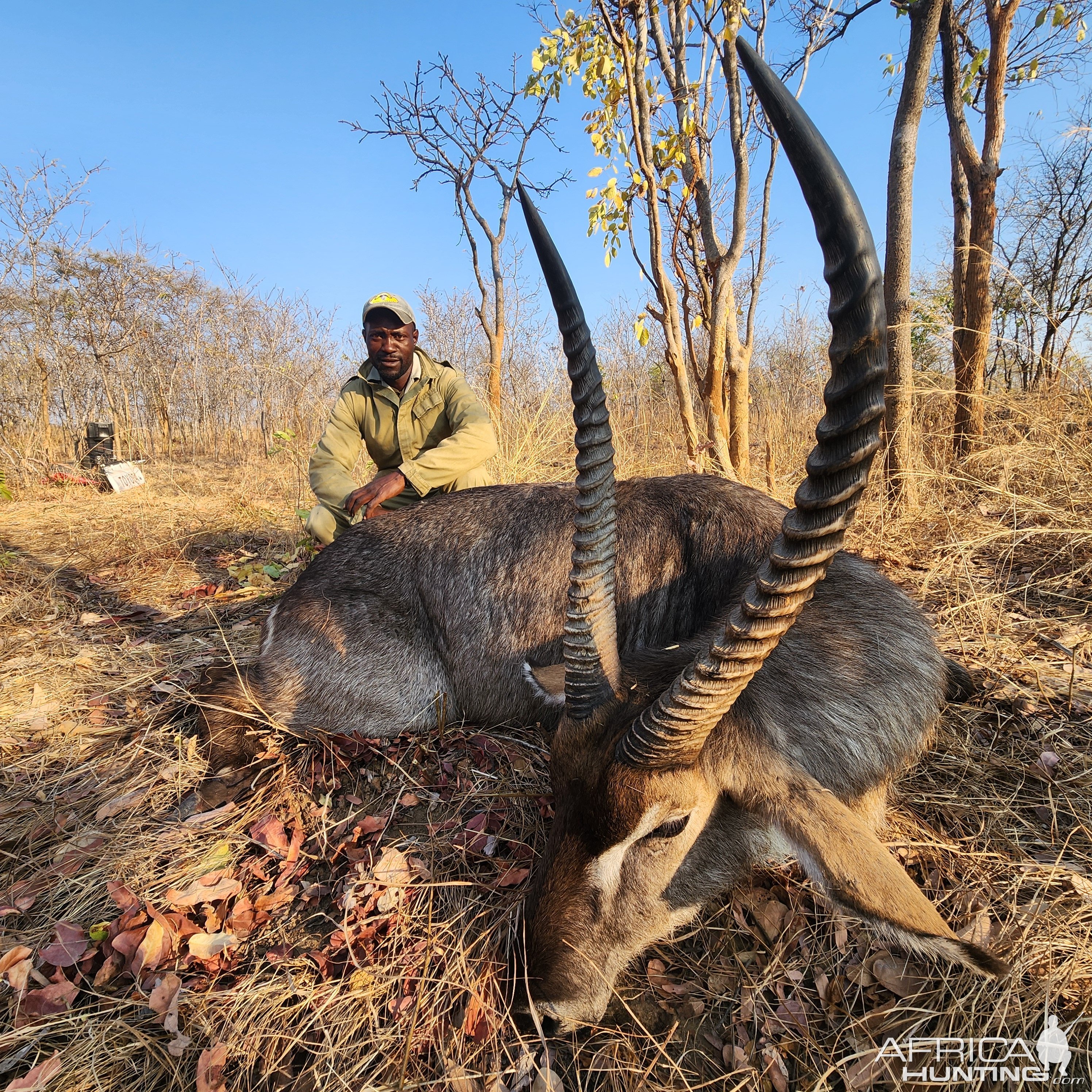 Waterbuck Hunt Zimbabwe