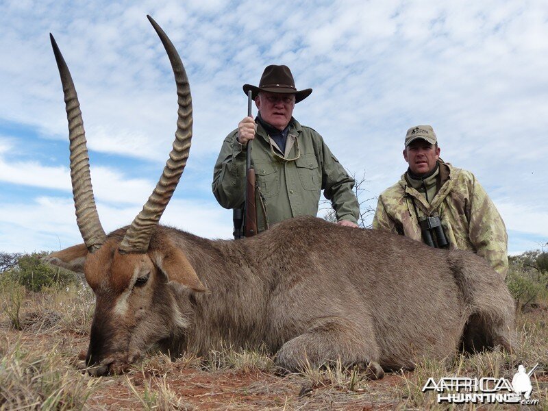 Waterbuck hunted with Wintershoek Johnny Vivier Safaris