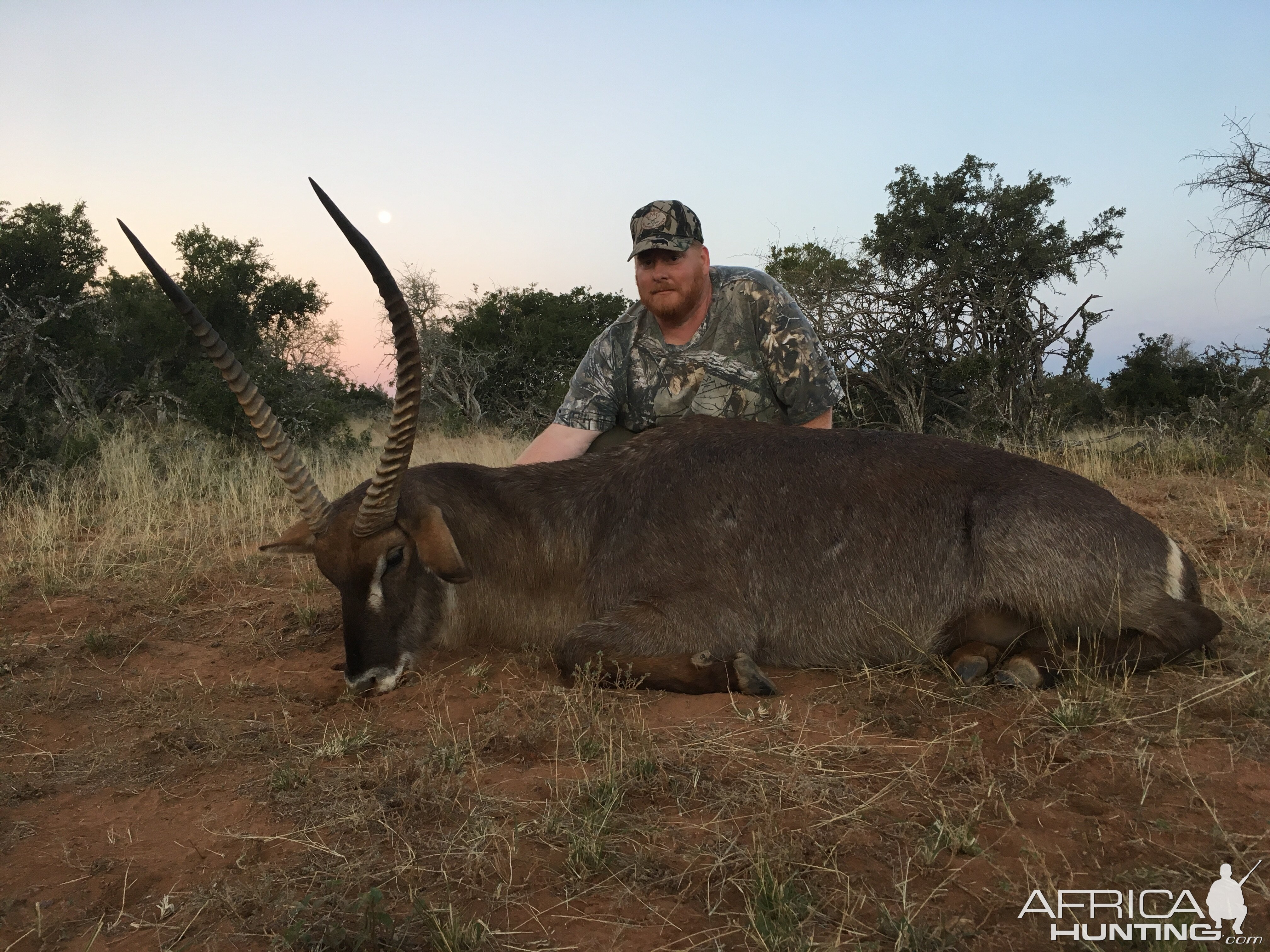 Waterbuck Hunting in South Africa