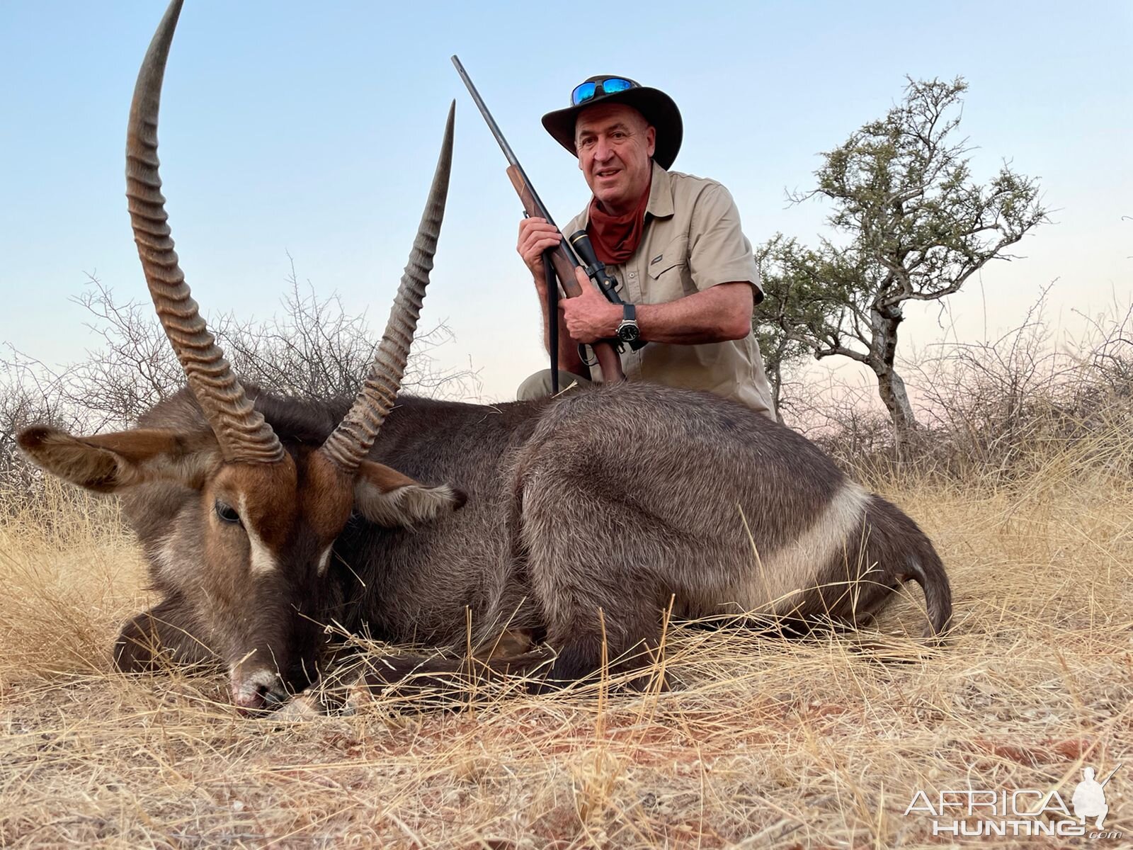 Waterbuck Hunting Limpopo Povince South Africa