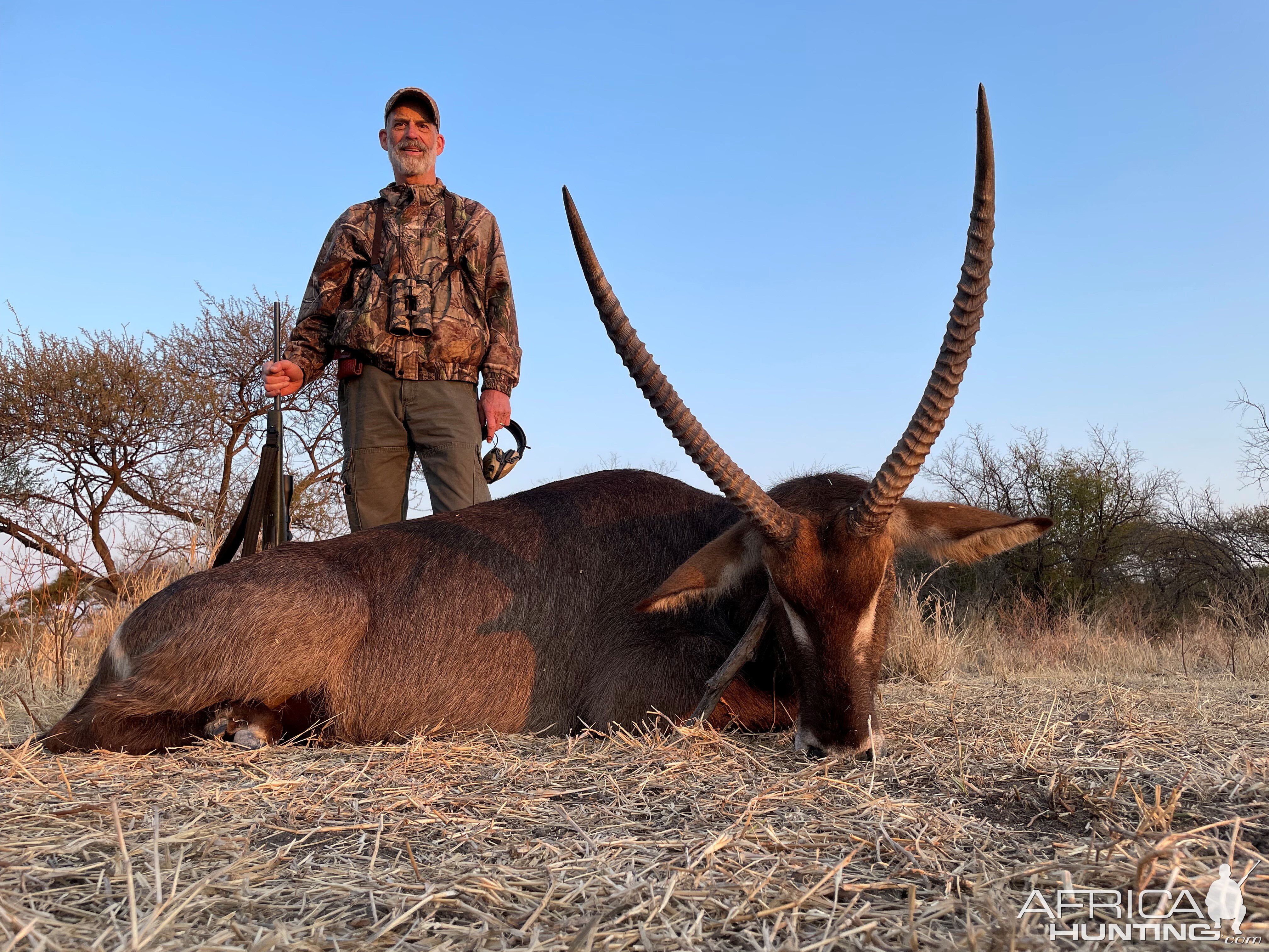 Waterbuck Hunting Limpopo South Africa