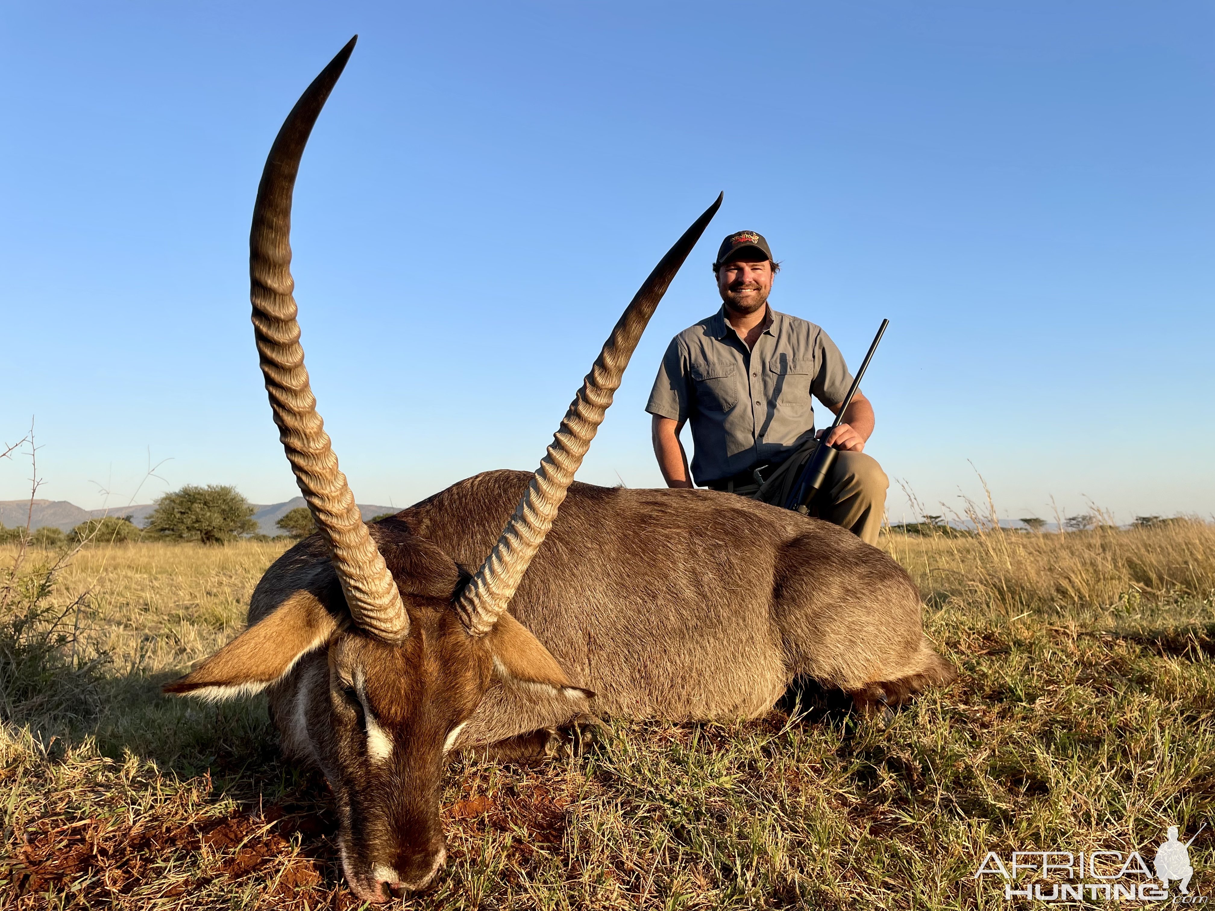 Waterbuck Hunting Limpopo South Africa