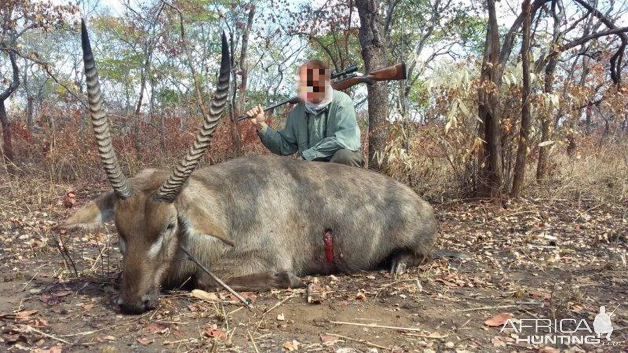 Waterbuck Hunting Mozambique