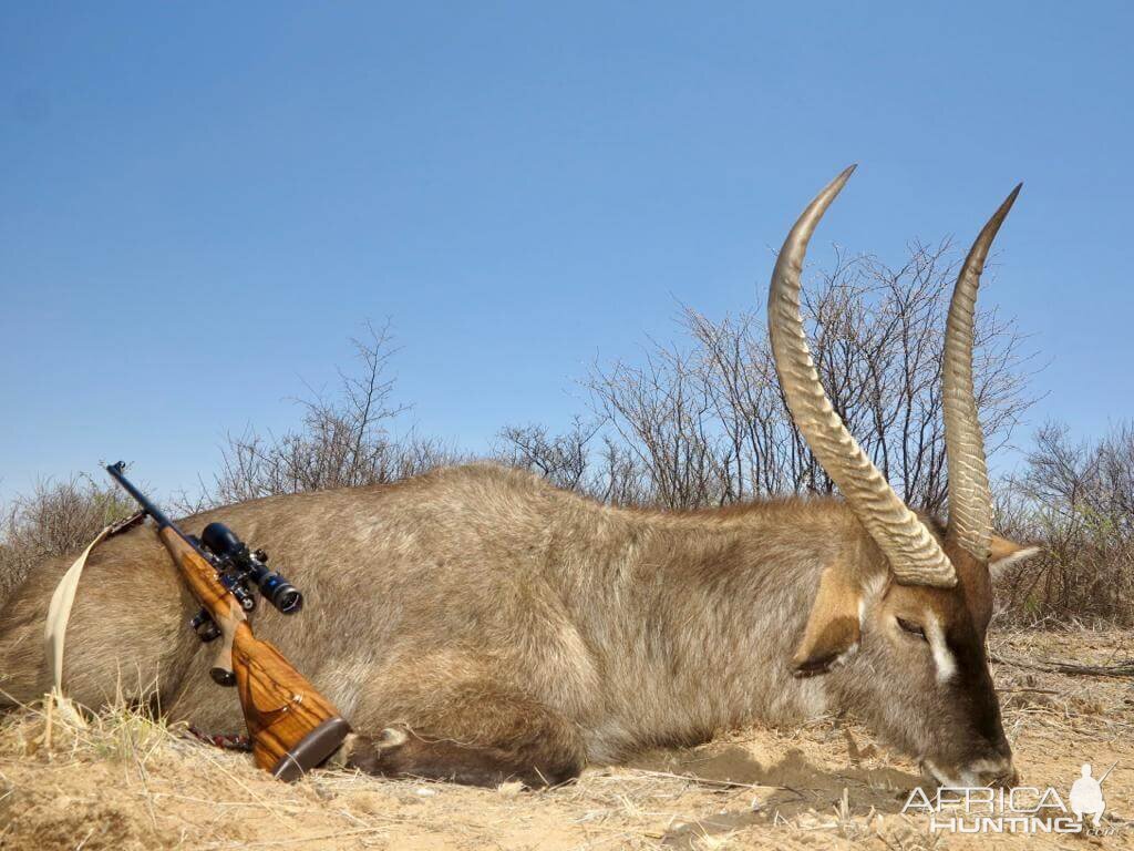 Waterbuck Hunting Namibia