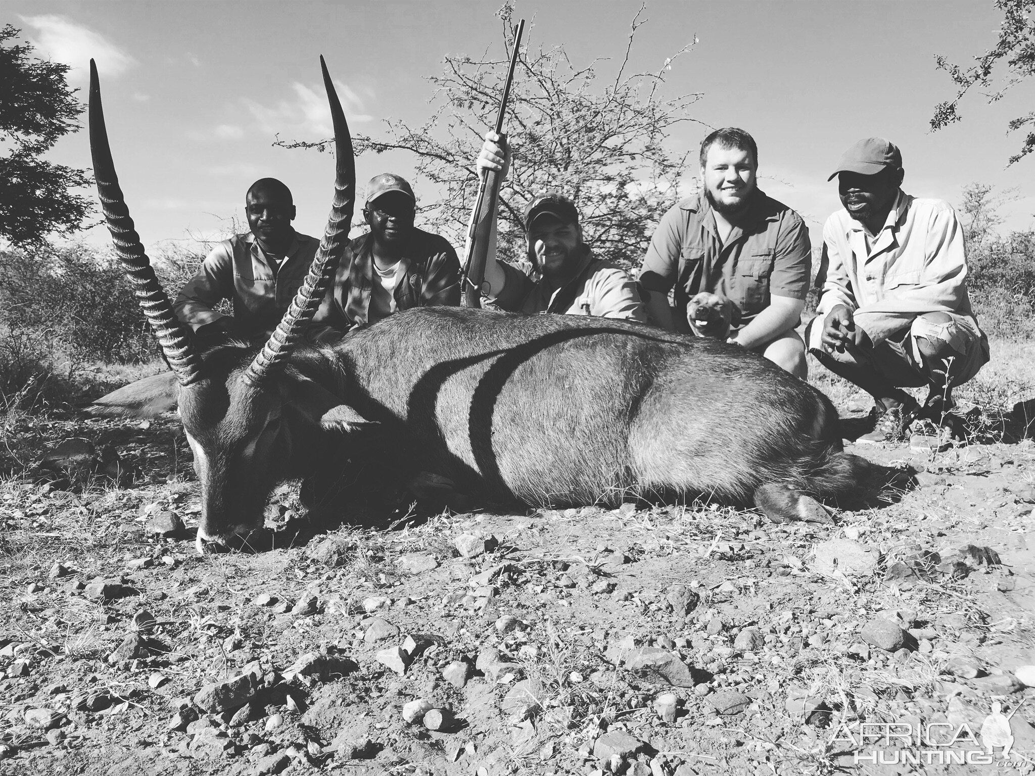 Waterbuck Hunting Namibia