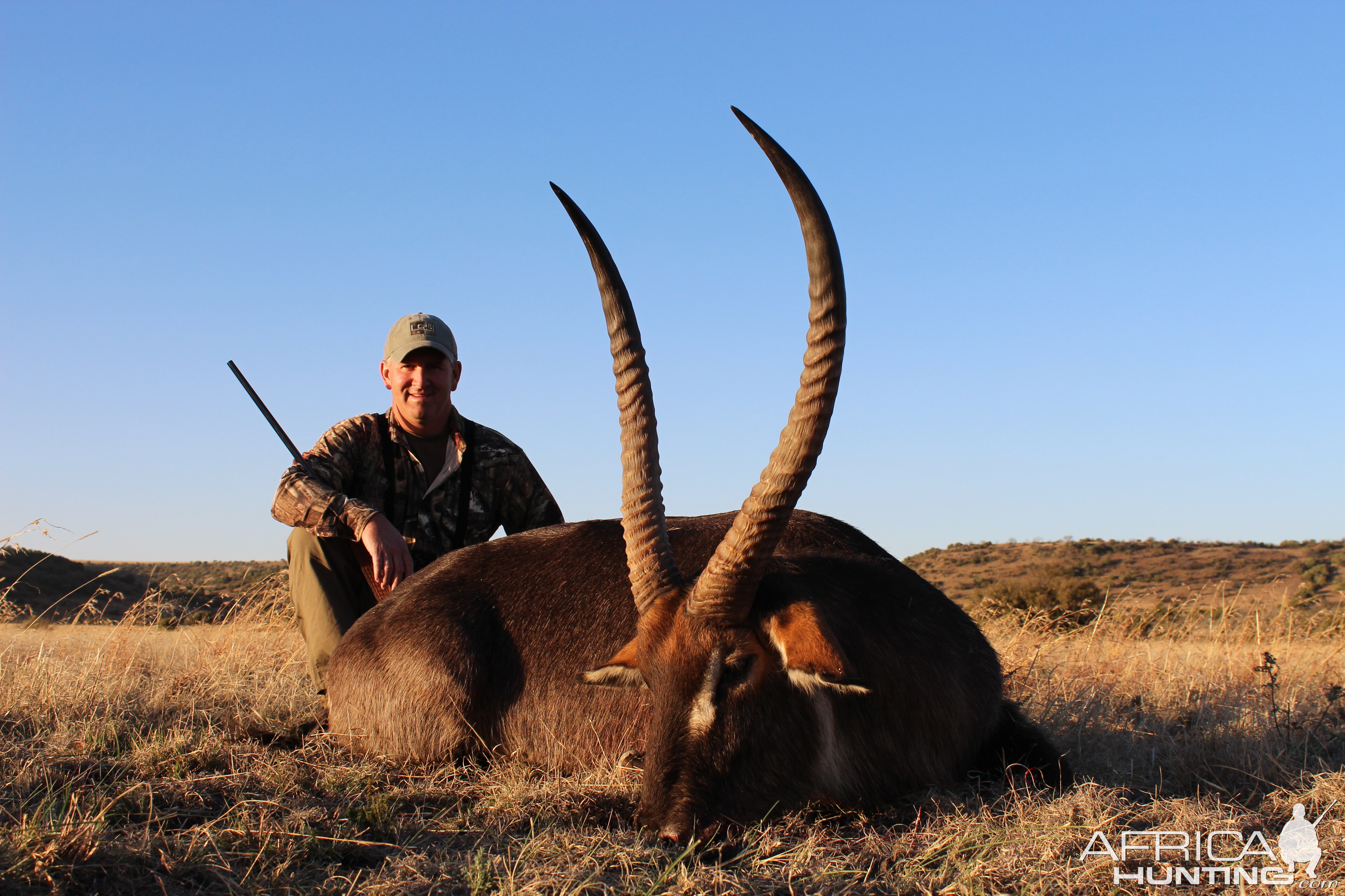 Waterbuck Hunting South Africa