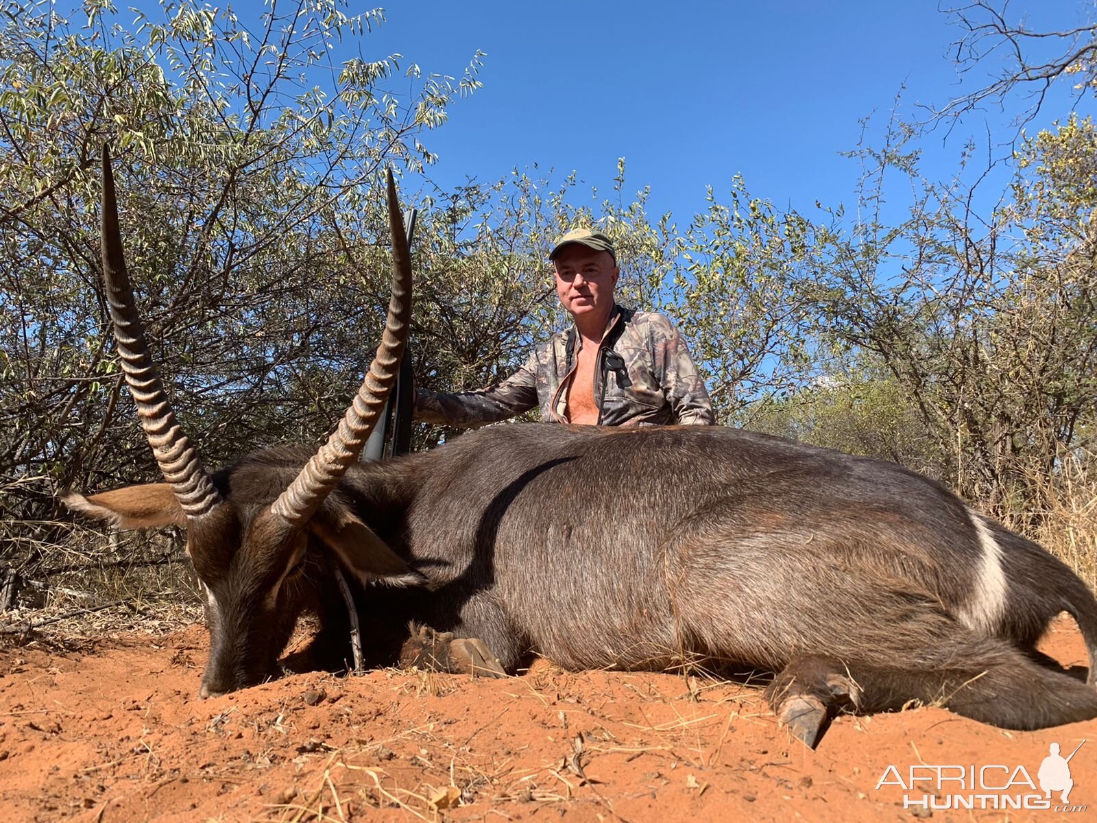 Waterbuck Hunting South Africa