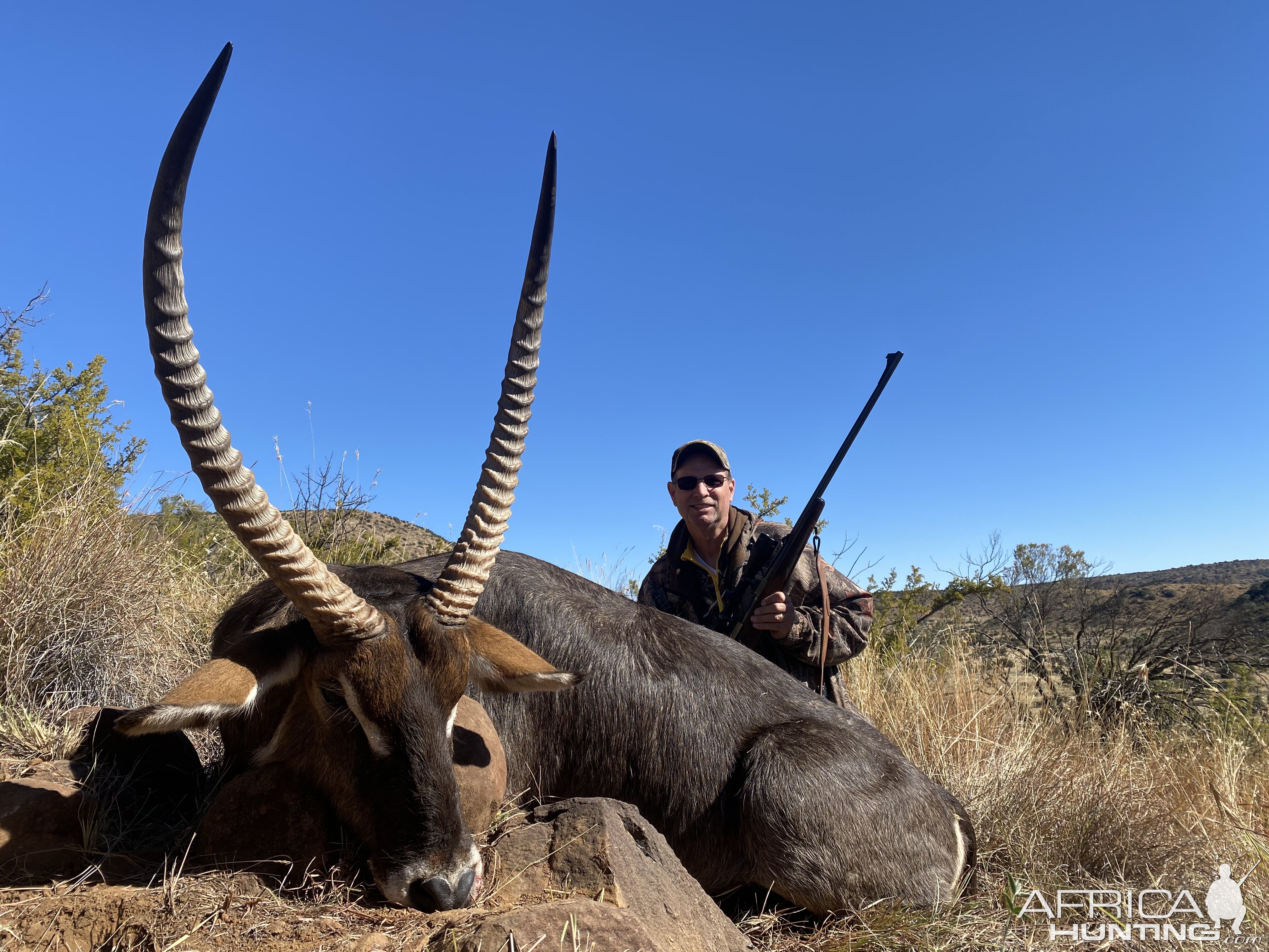 Waterbuck Hunting South Africa