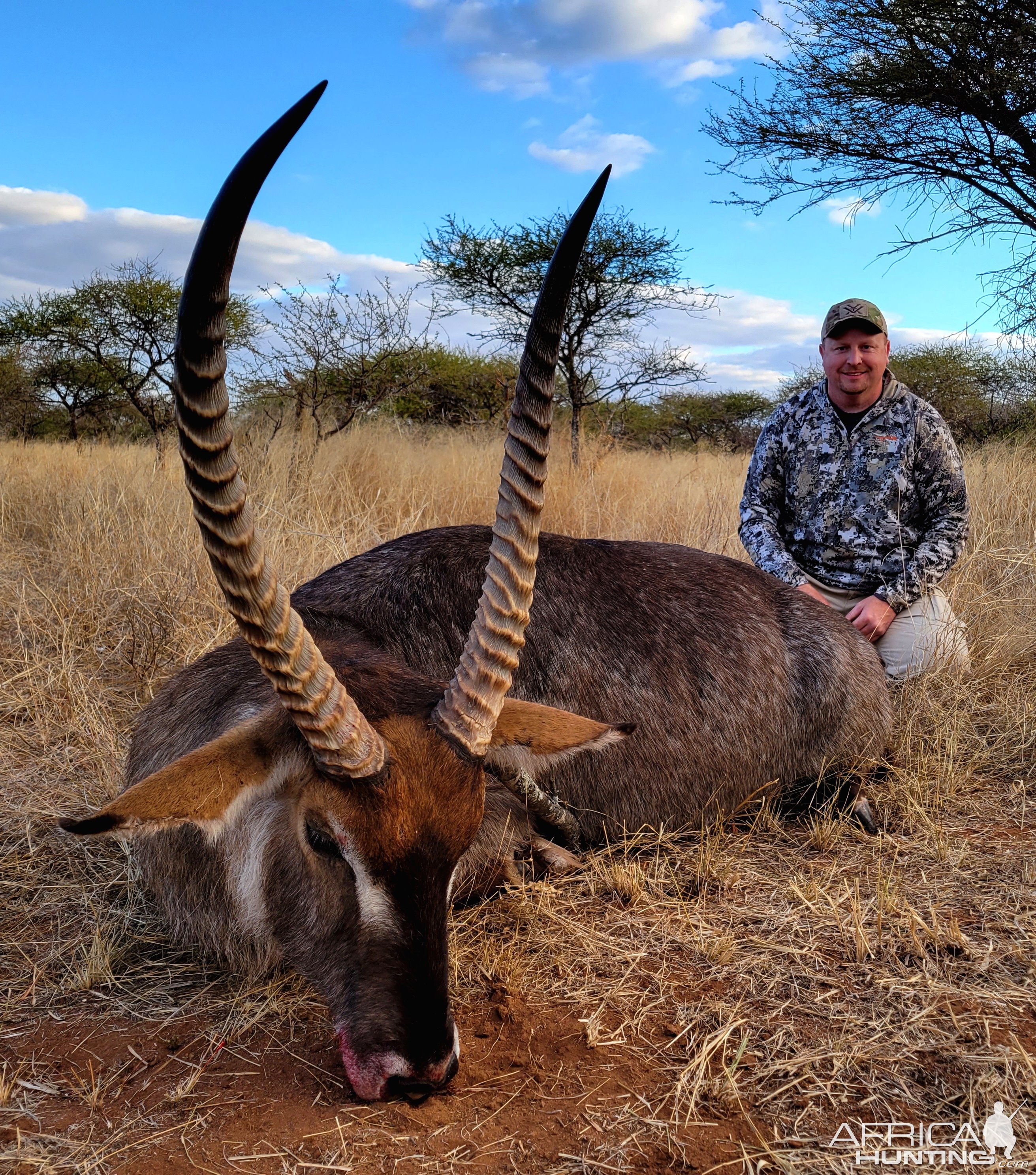 Waterbuck Hunting South Africa