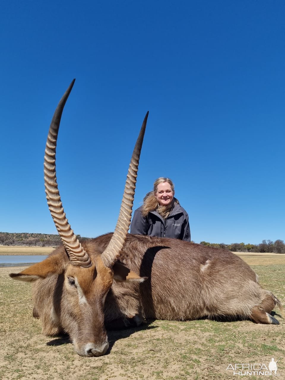 Waterbuck Hunting South Africa