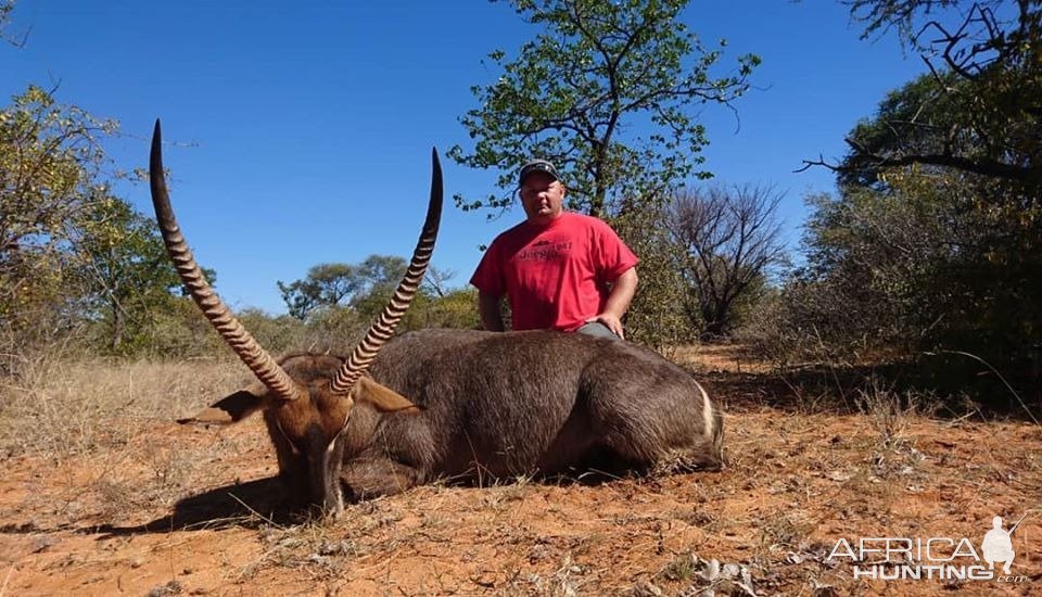 Waterbuck Hunting South Africa